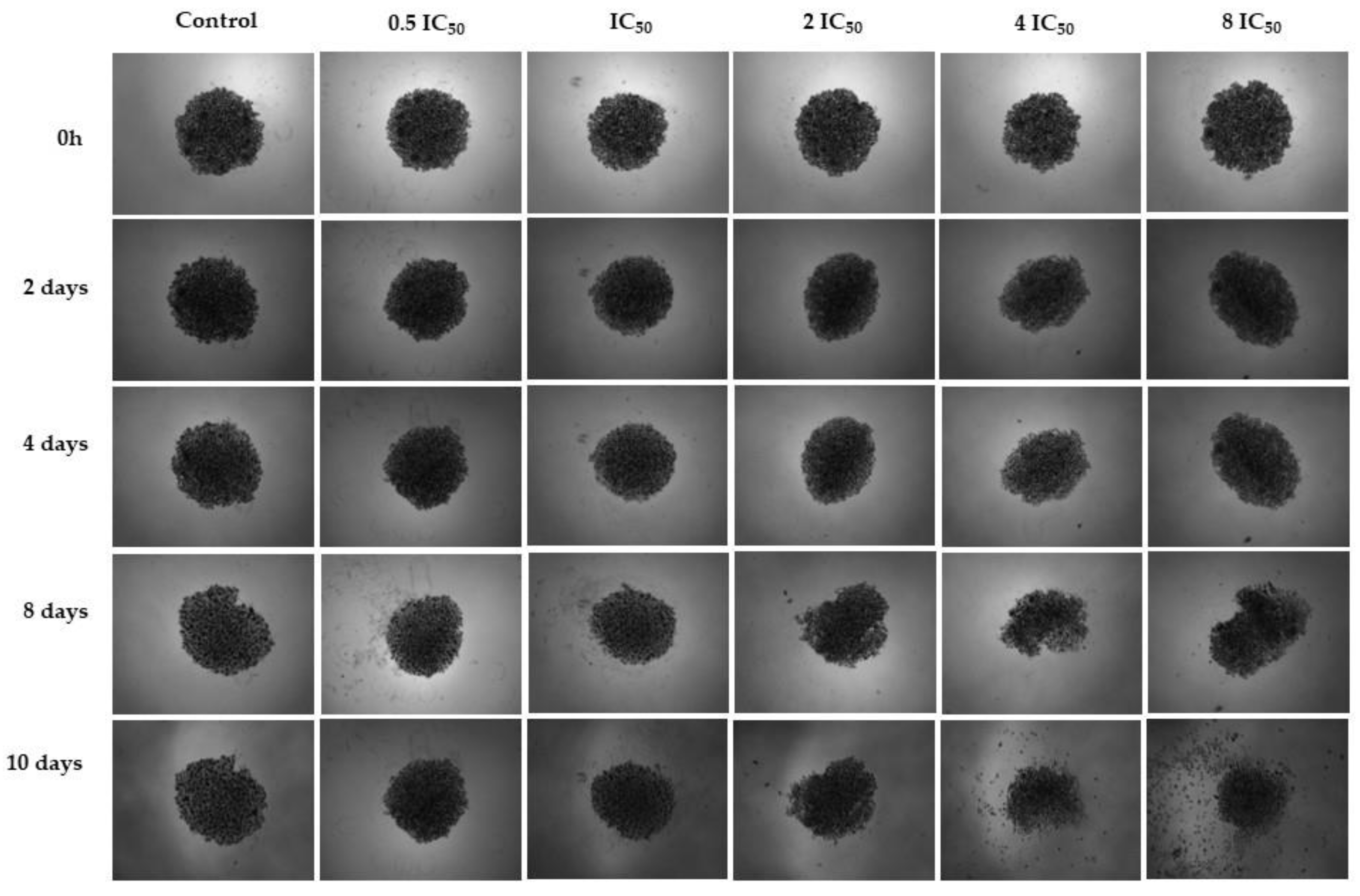 Preprints 101648 g005