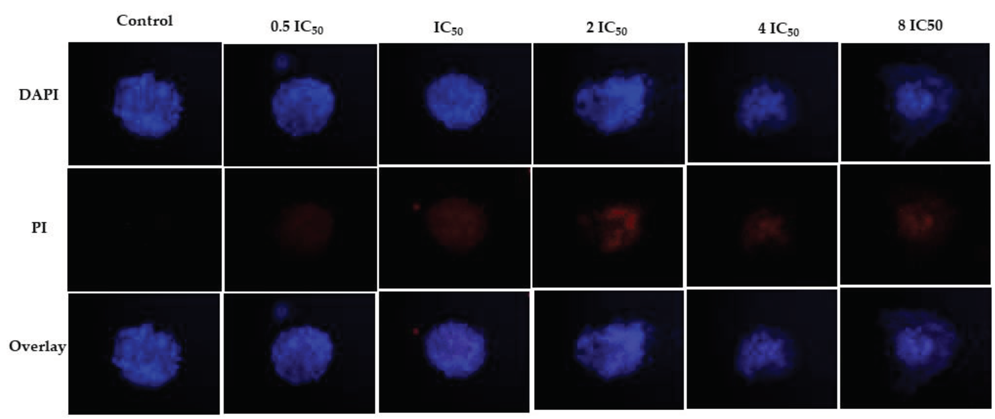 Preprints 101648 g006