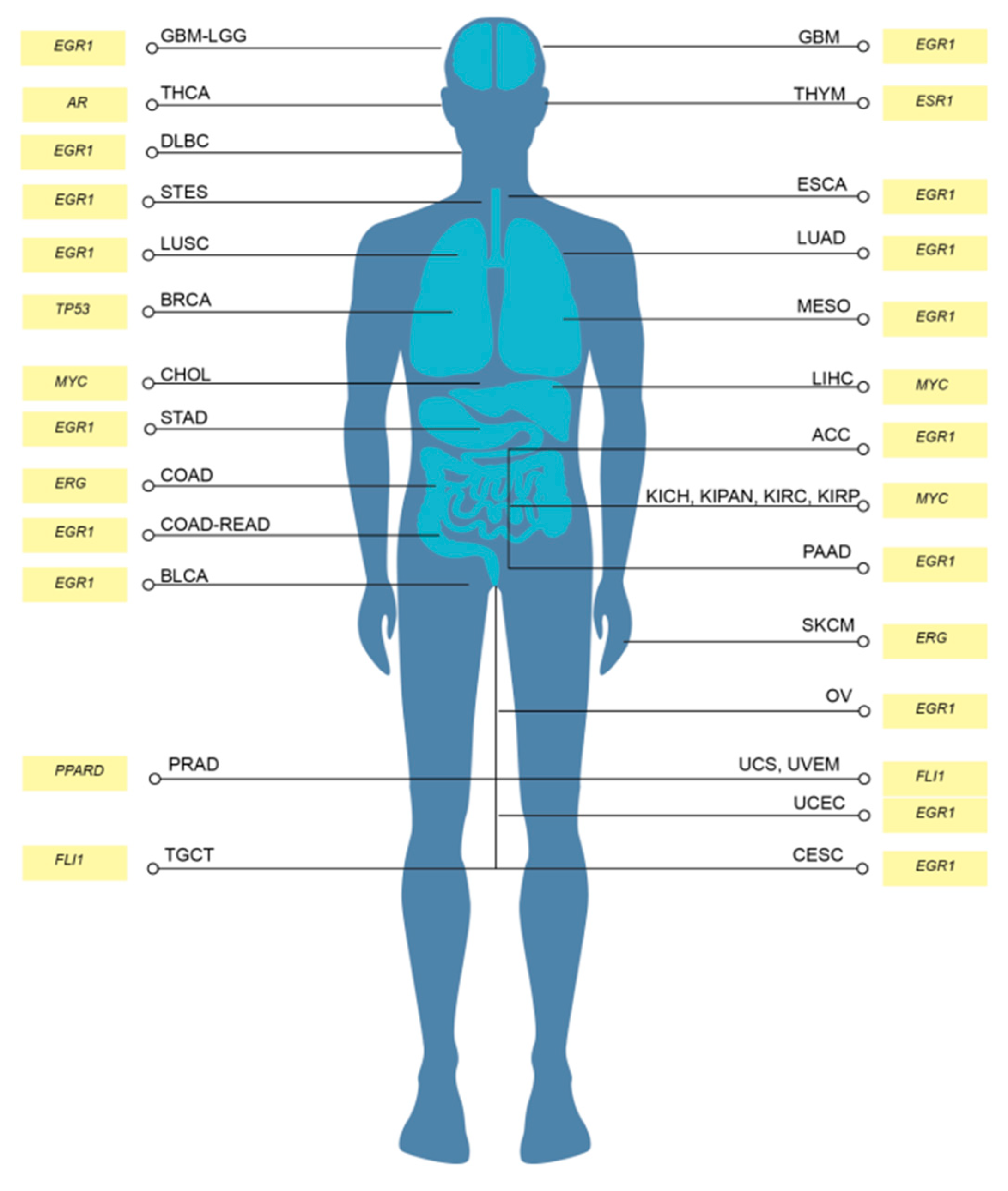 Preprints 121394 g003