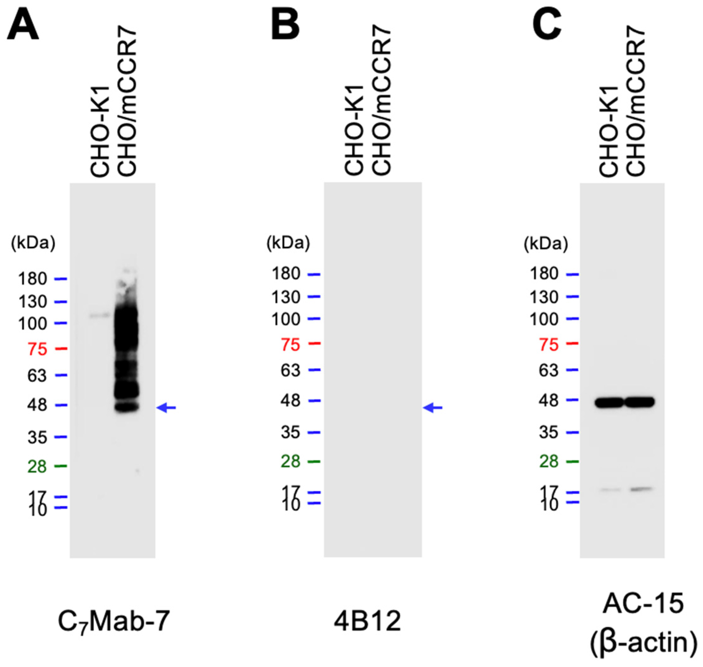 Preprints 140514 g004