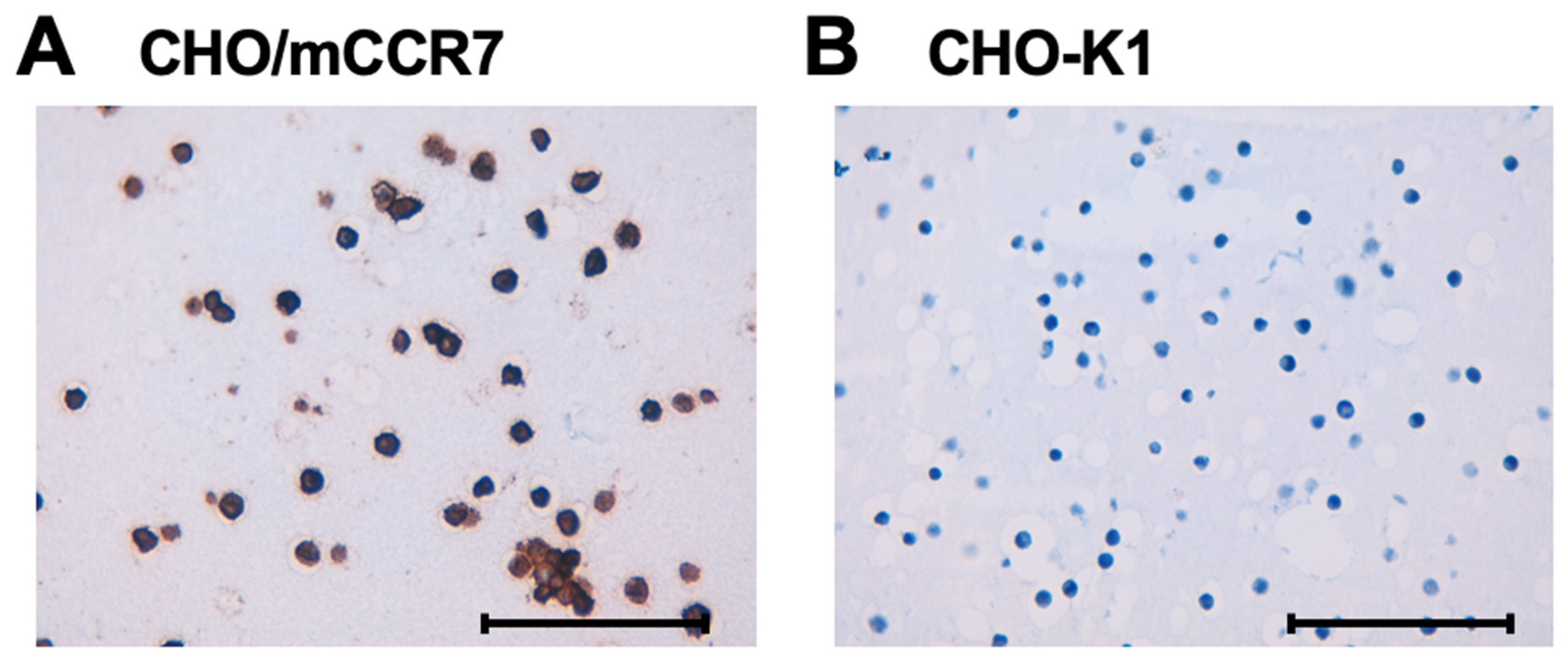 Preprints 140514 g005