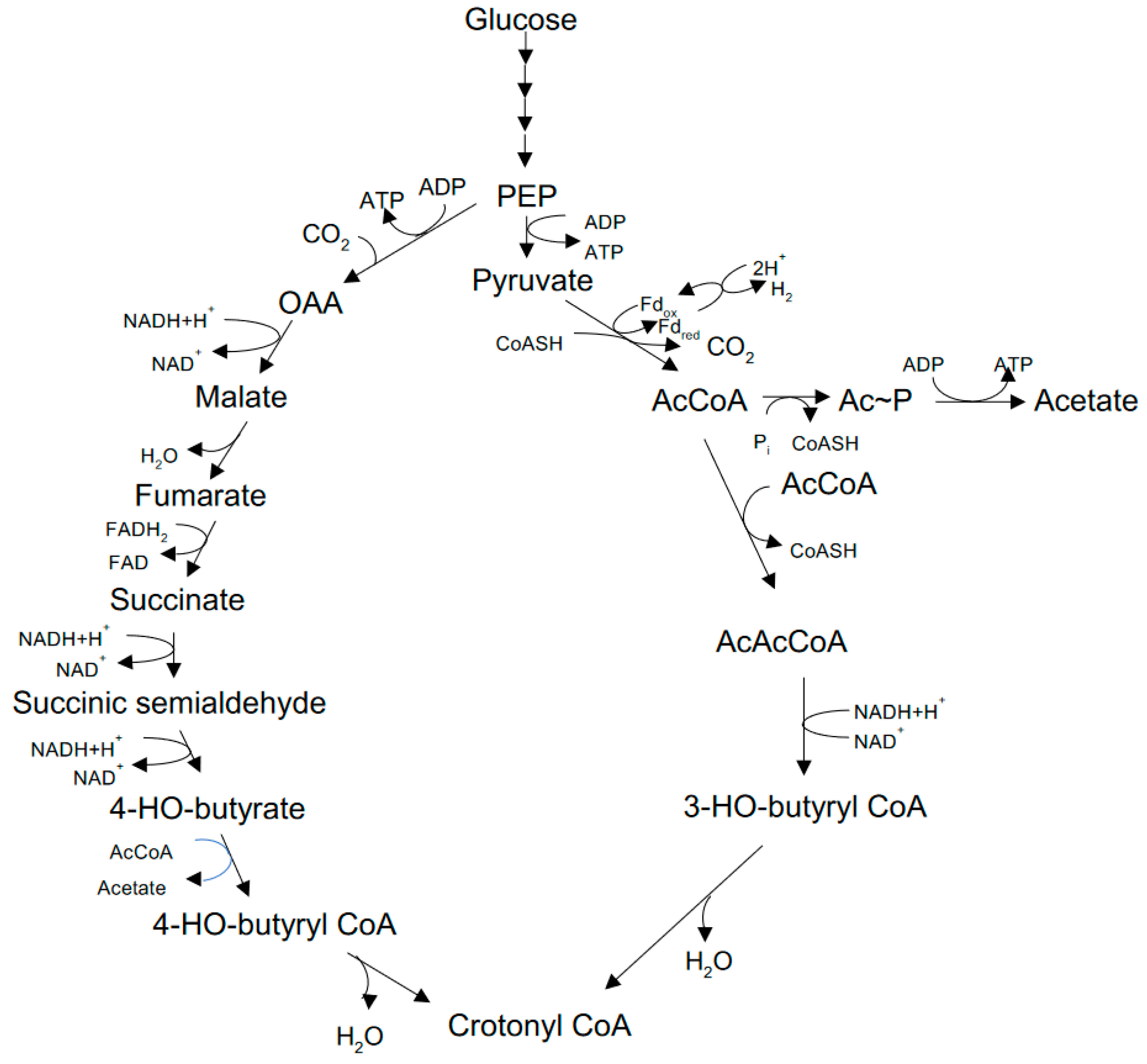 Preprints 94830 g005