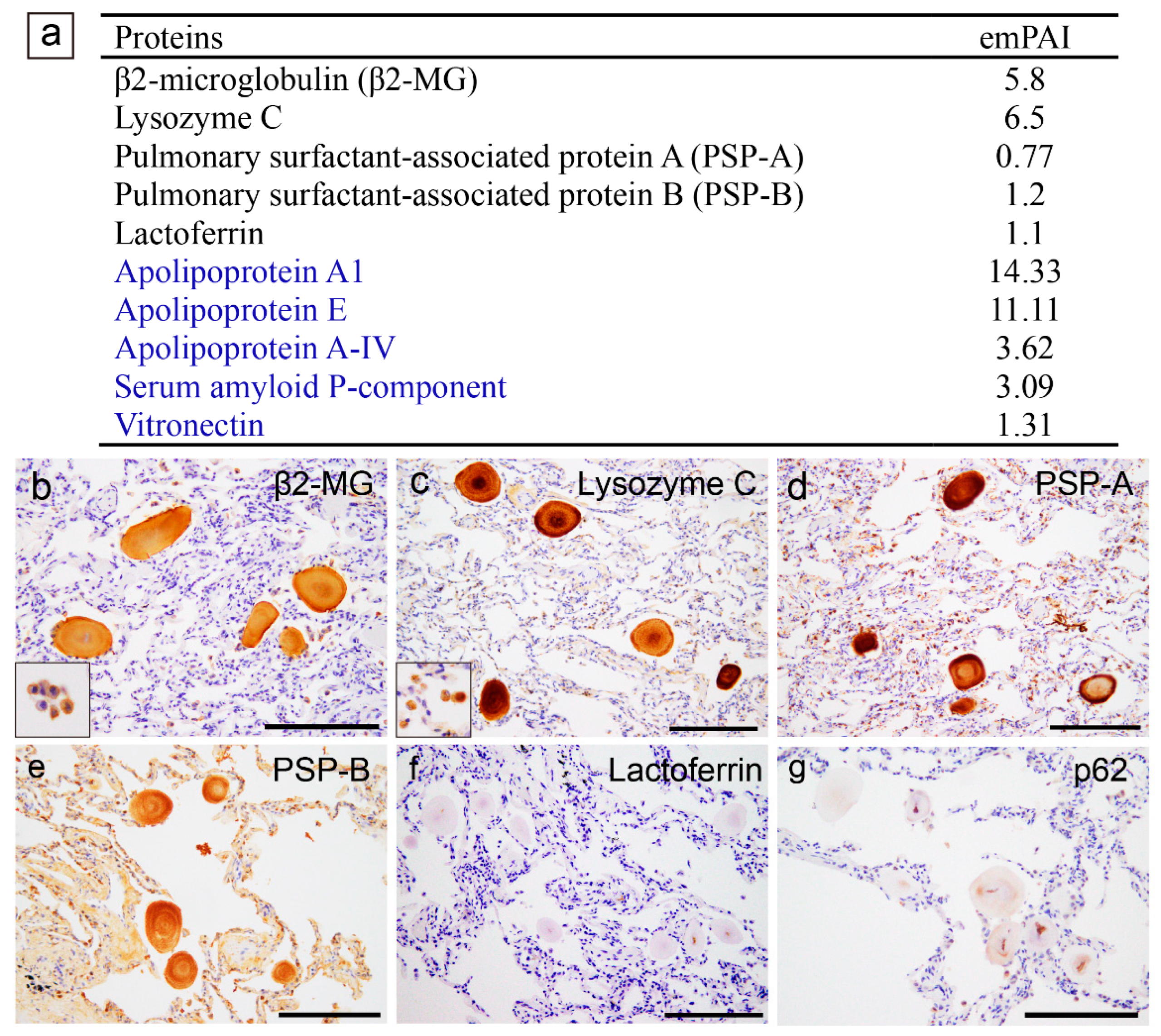 Preprints 100683 g002