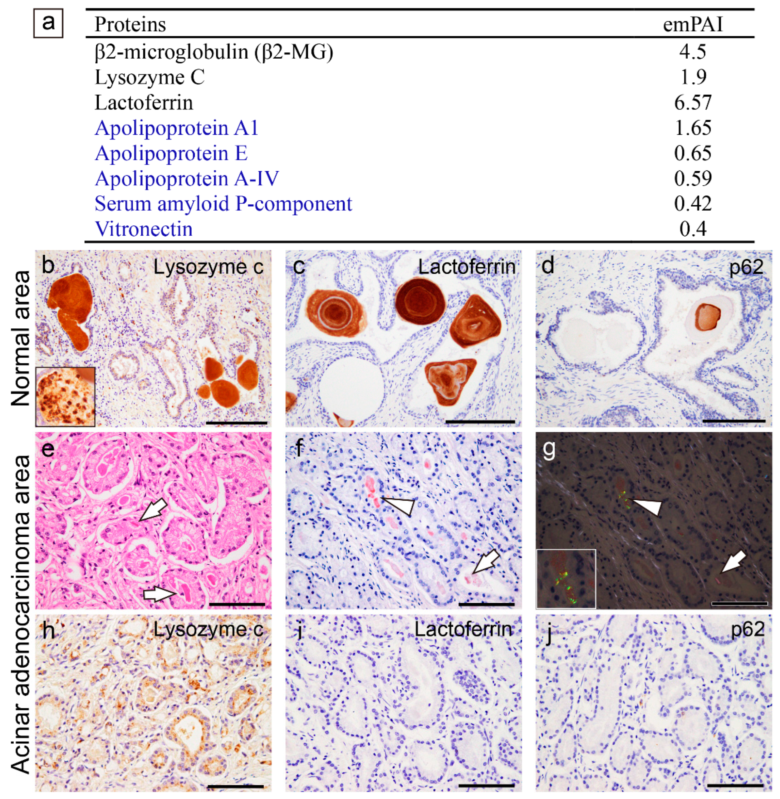 Preprints 100683 g003