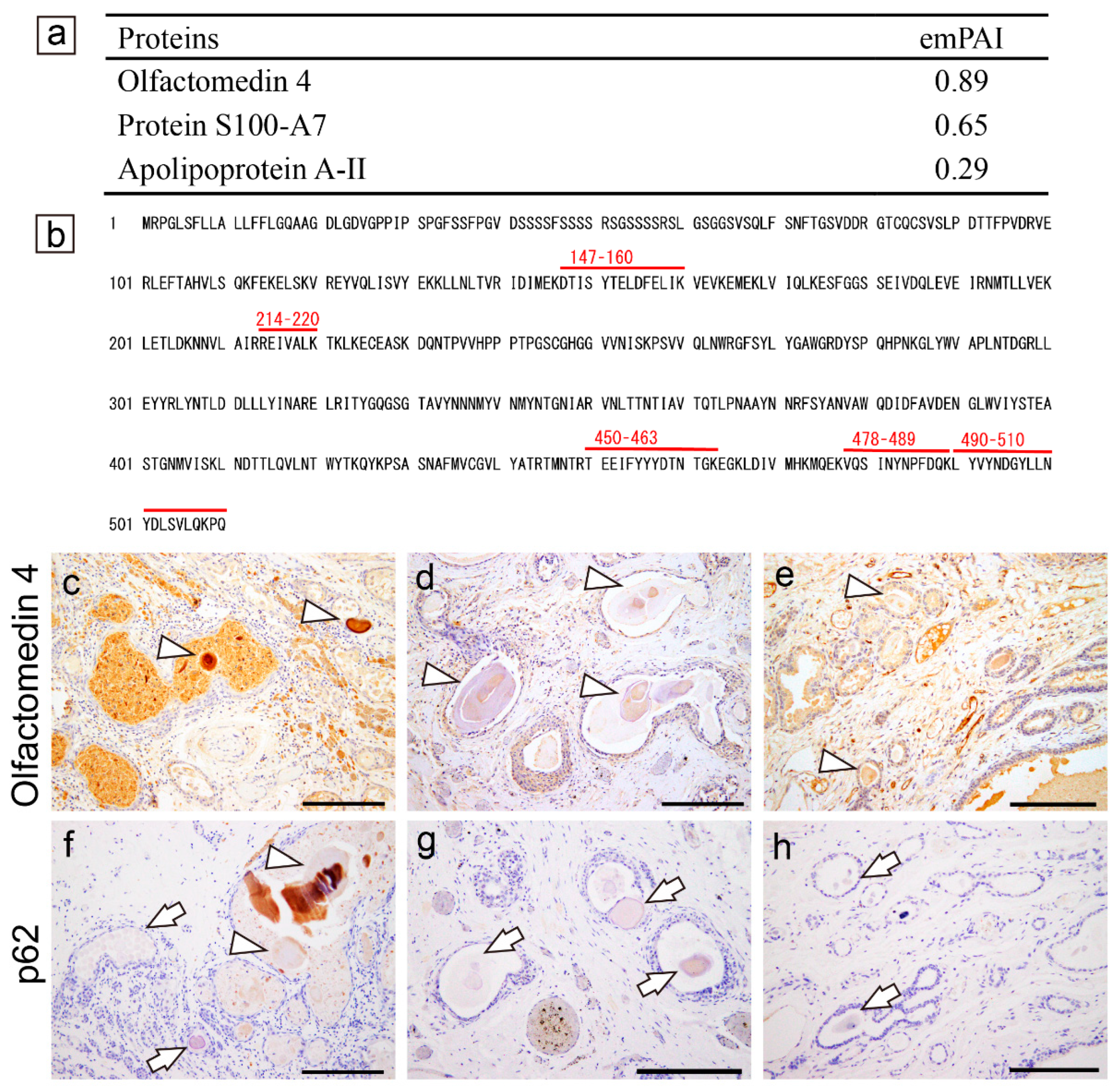 Preprints 100683 g005