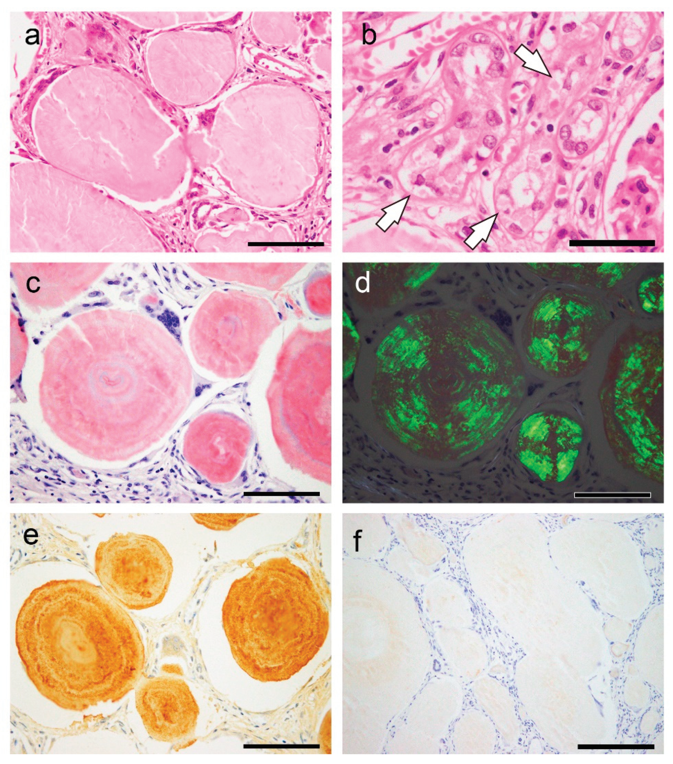 Preprints 100683 g006