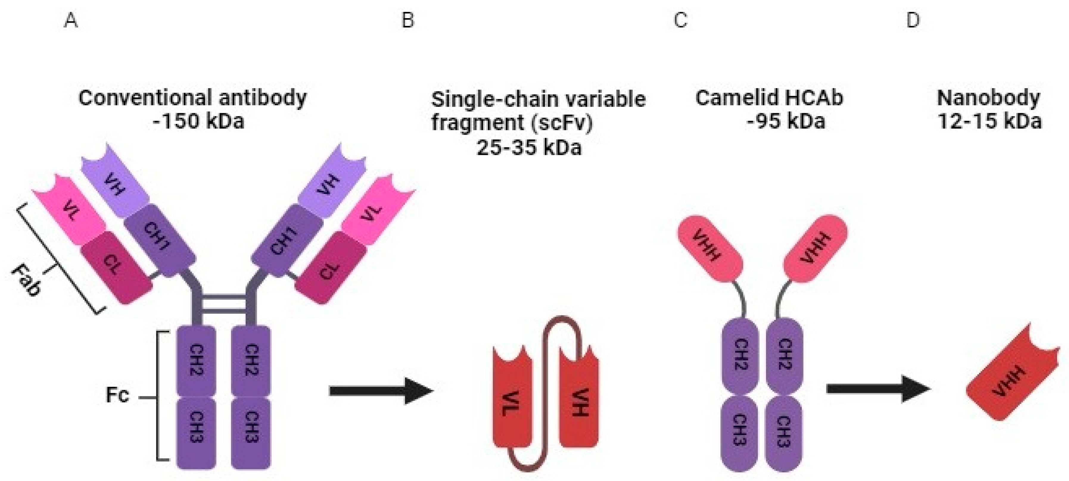 Preprints 88571 g001