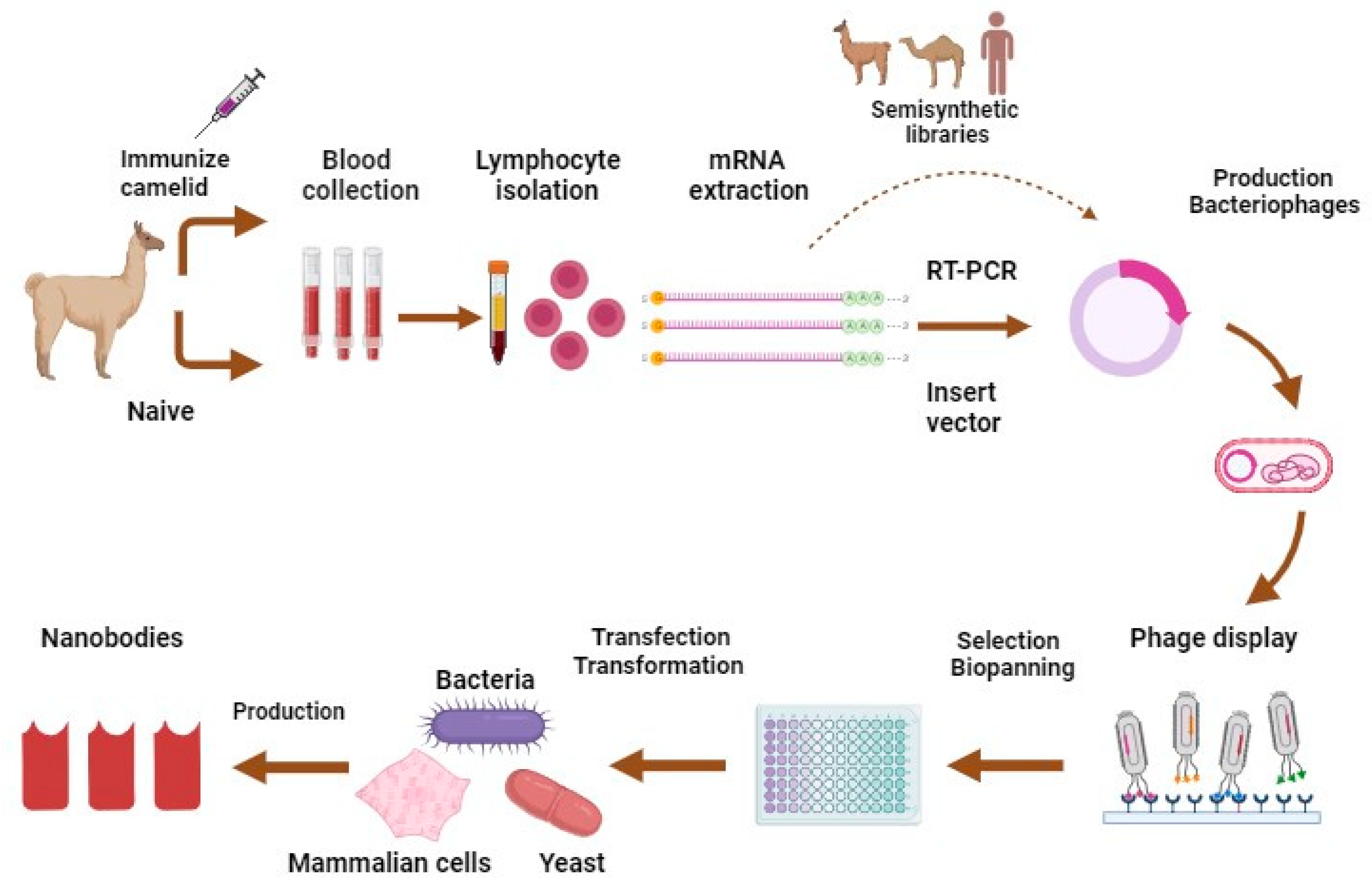 Preprints 88571 g002