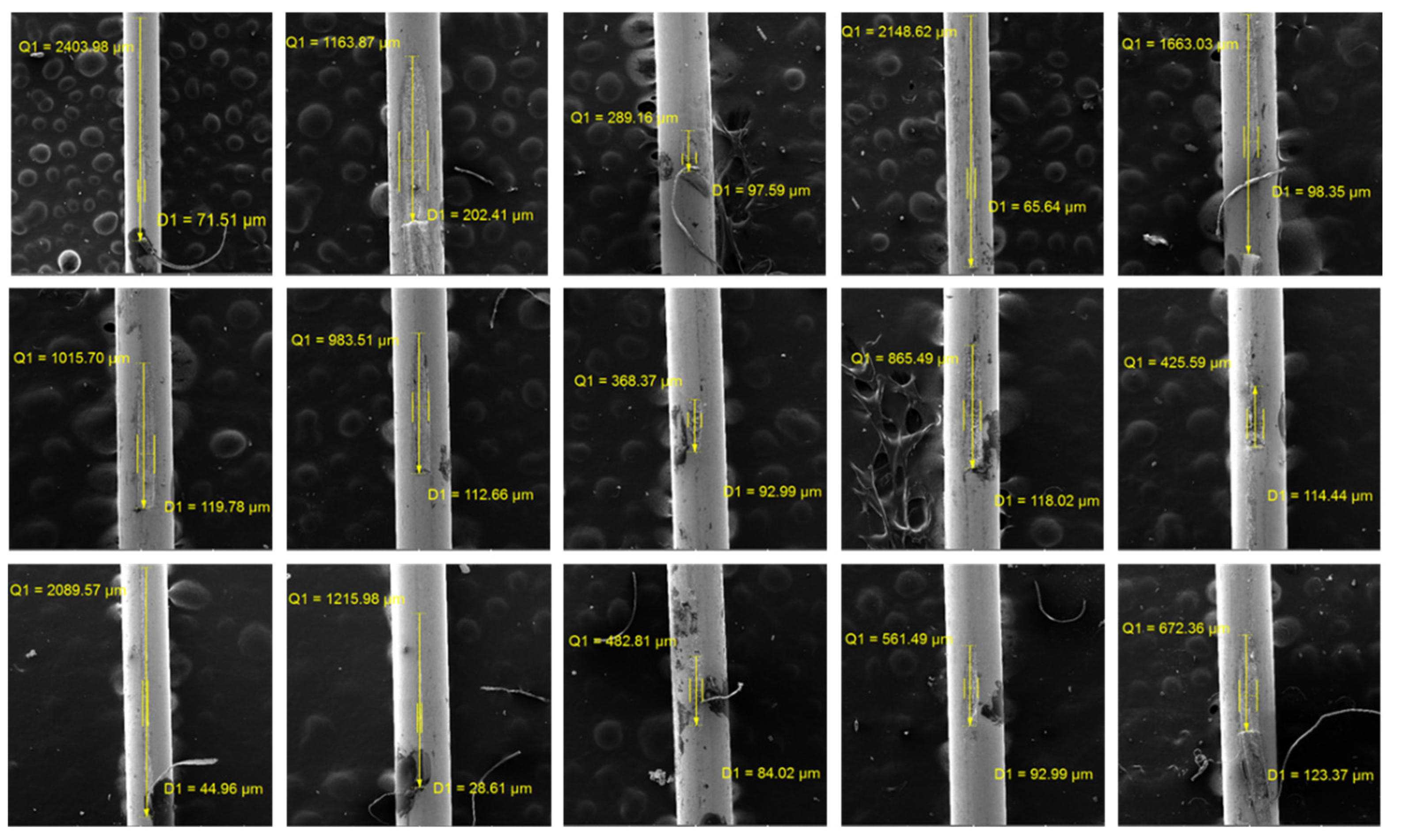 Preprints 111328 g005