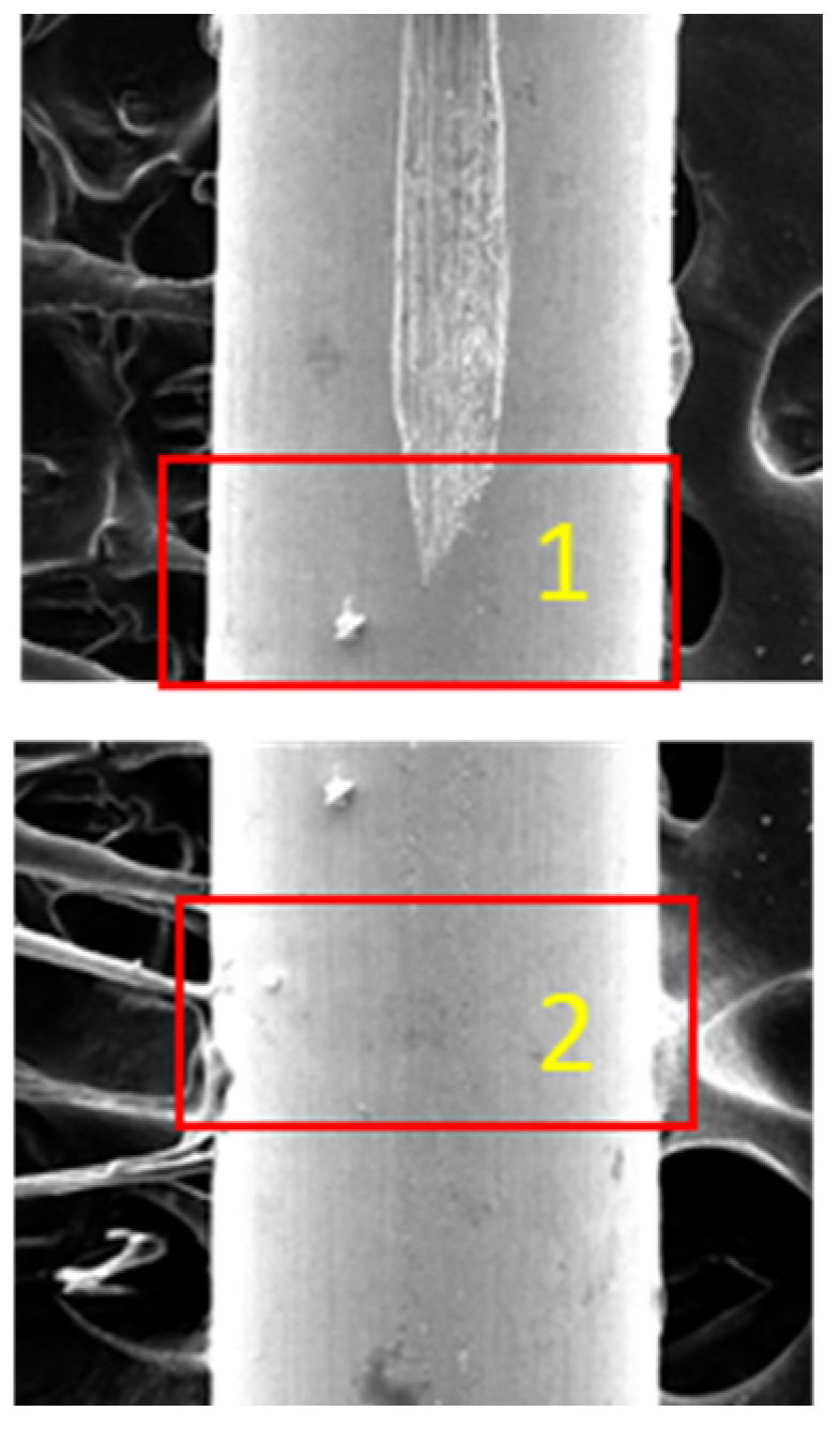 Preprints 111328 g007