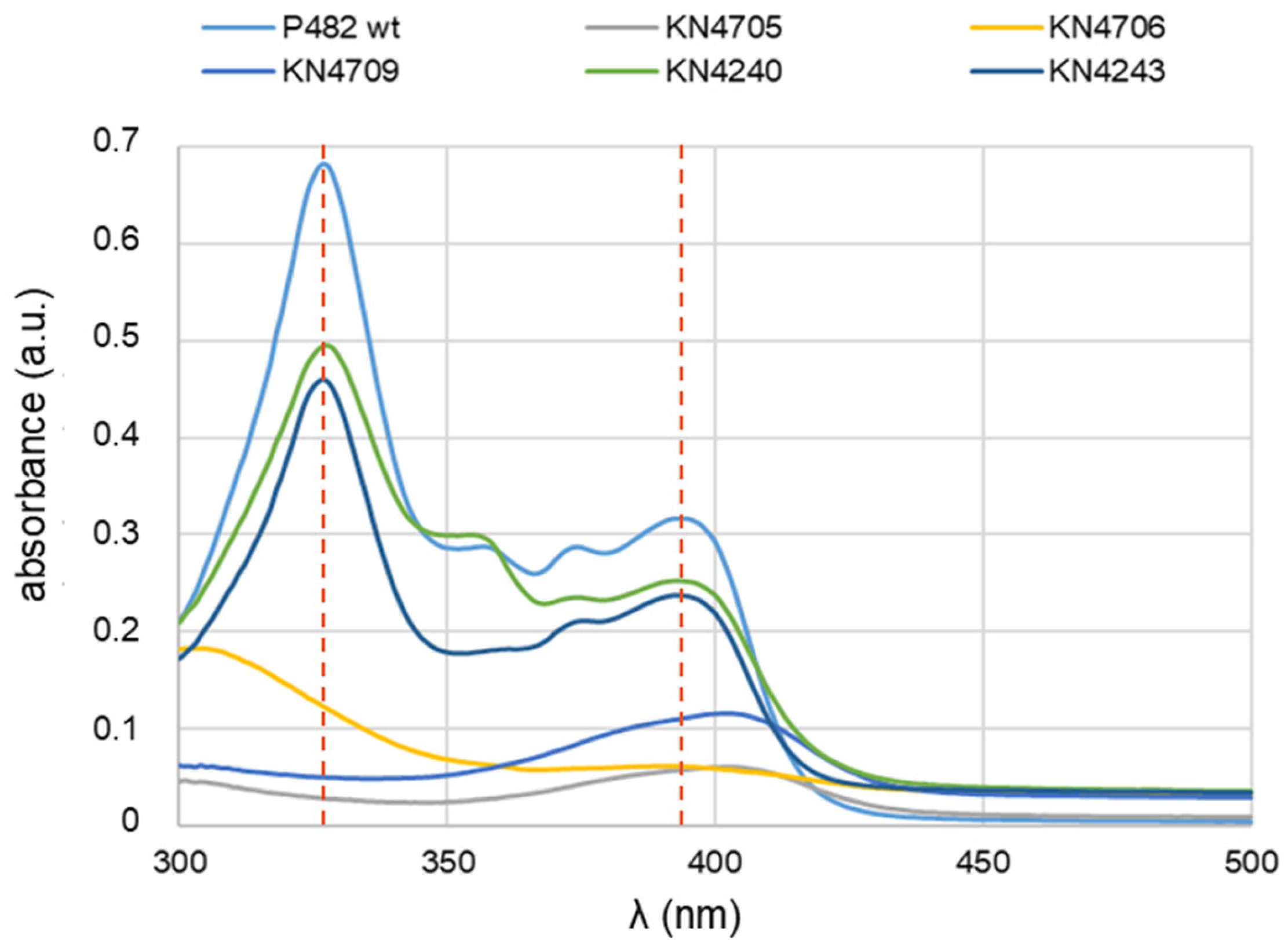 Preprints 109208 g001