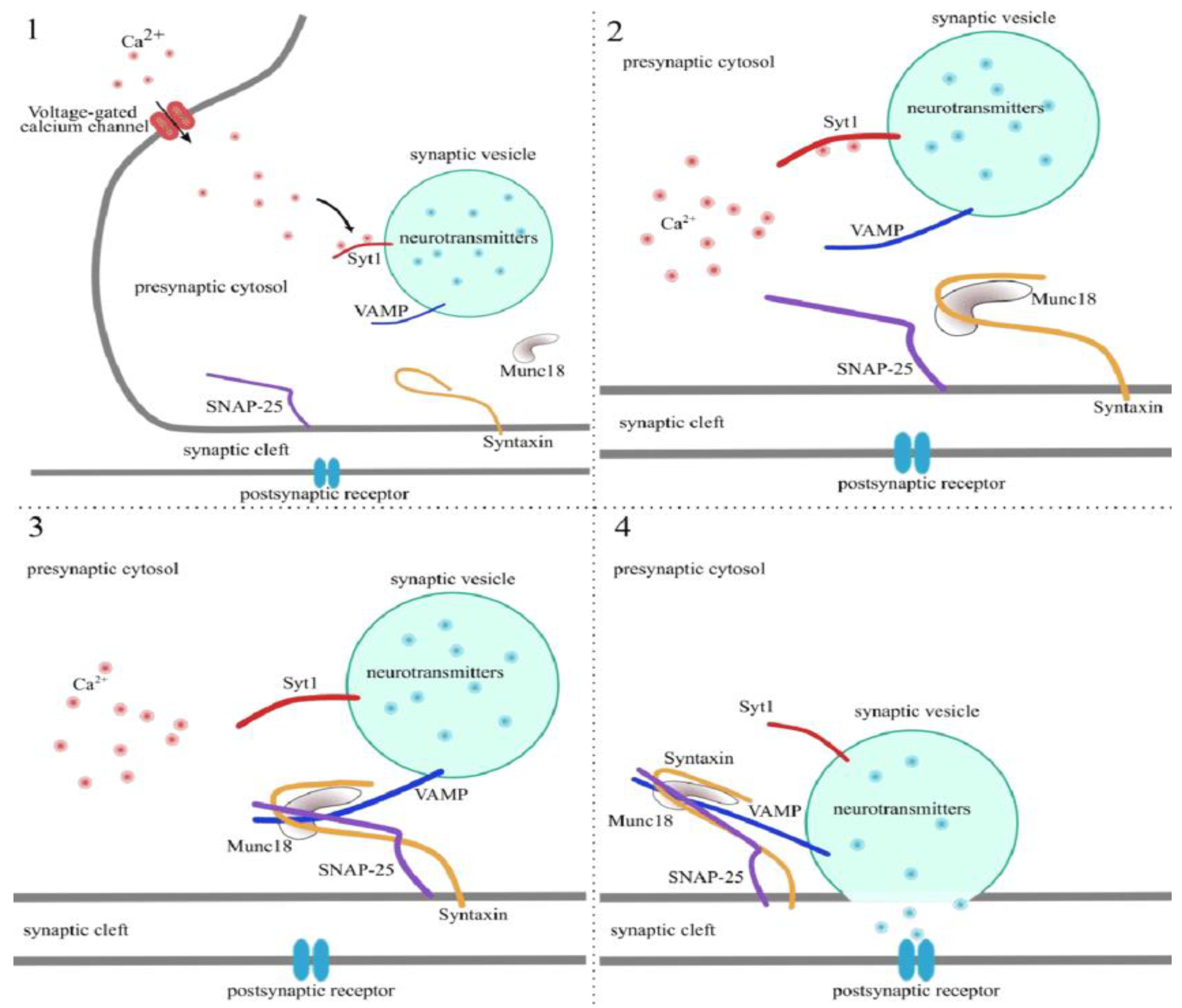 Preprints 119301 g003