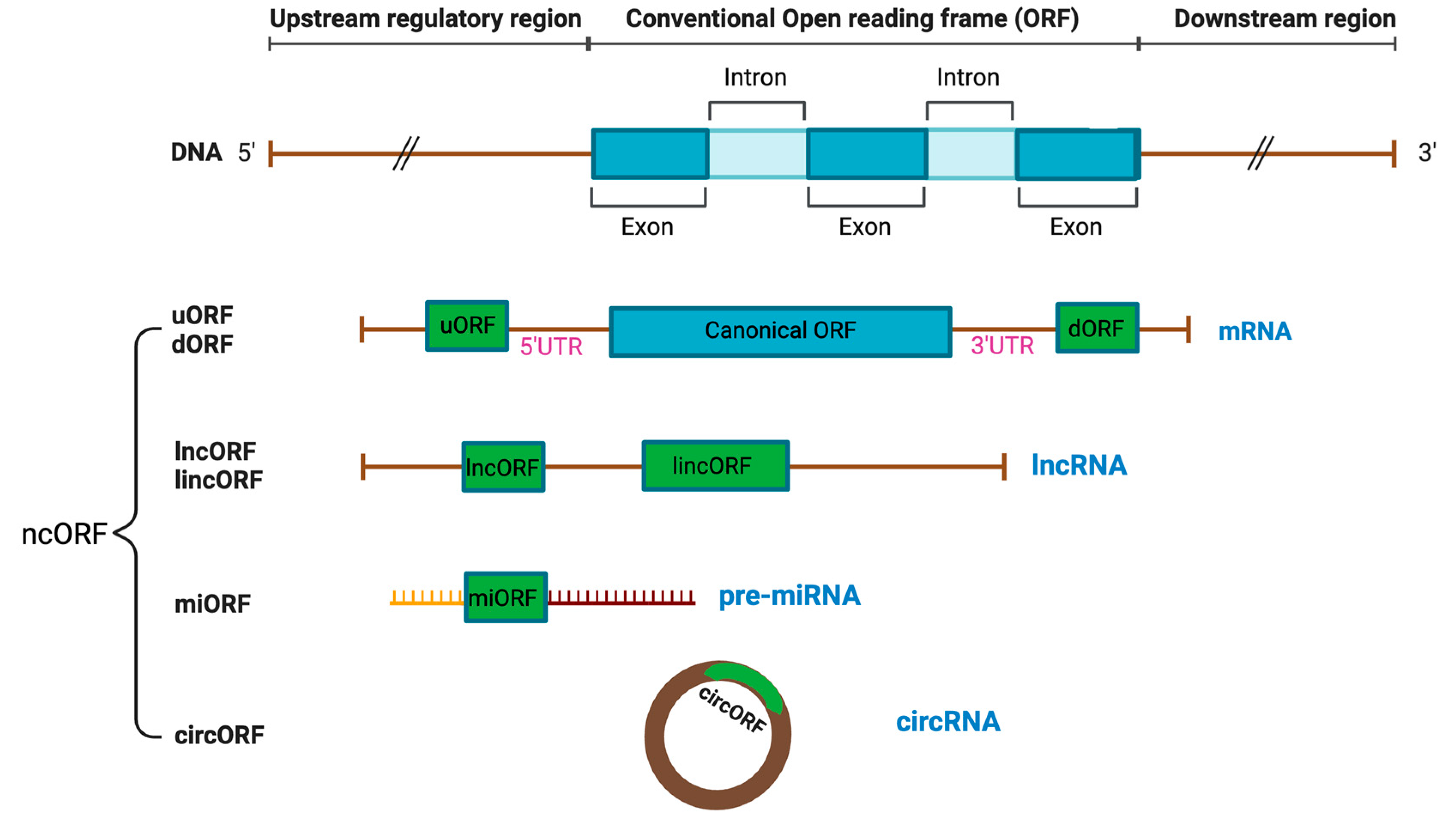 Preprints 110586 g001