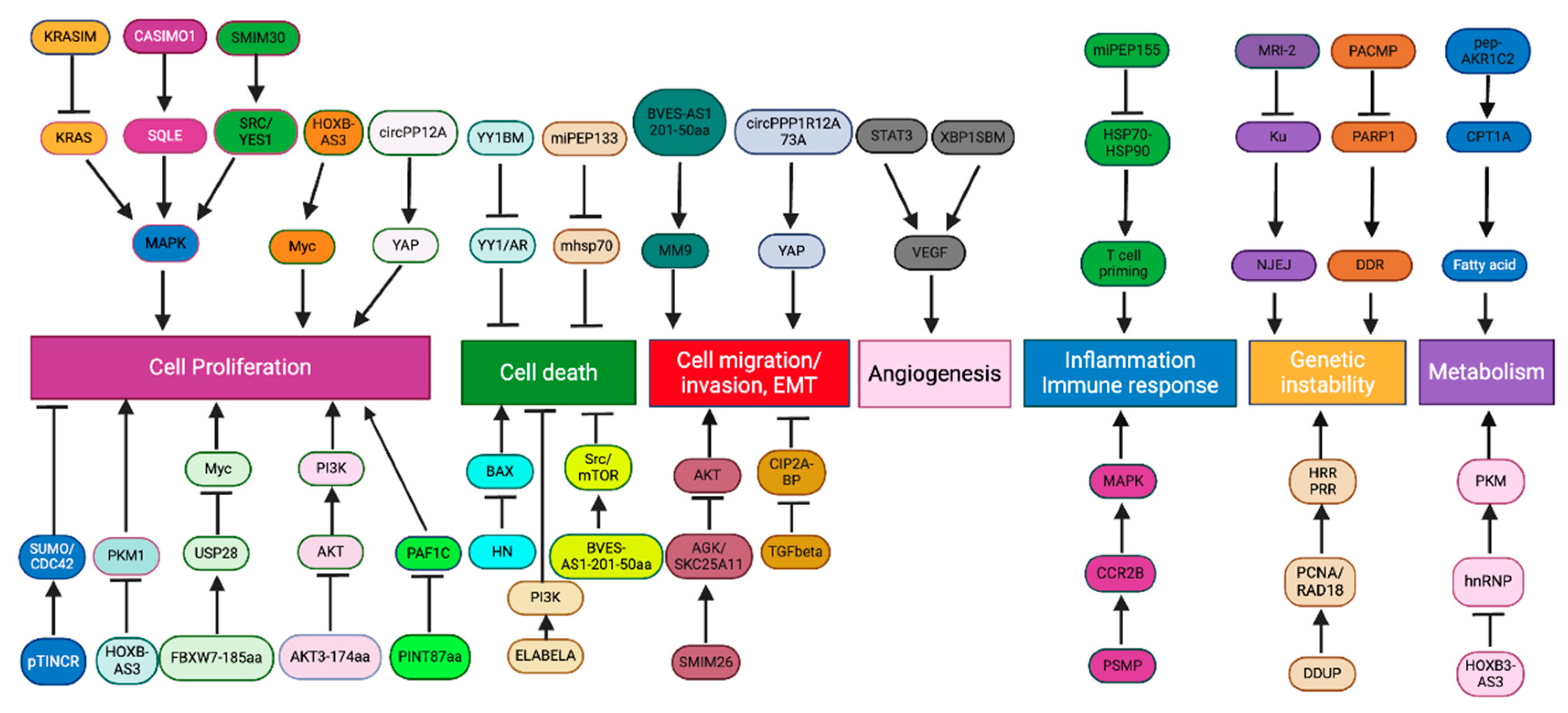 Preprints 110586 g002