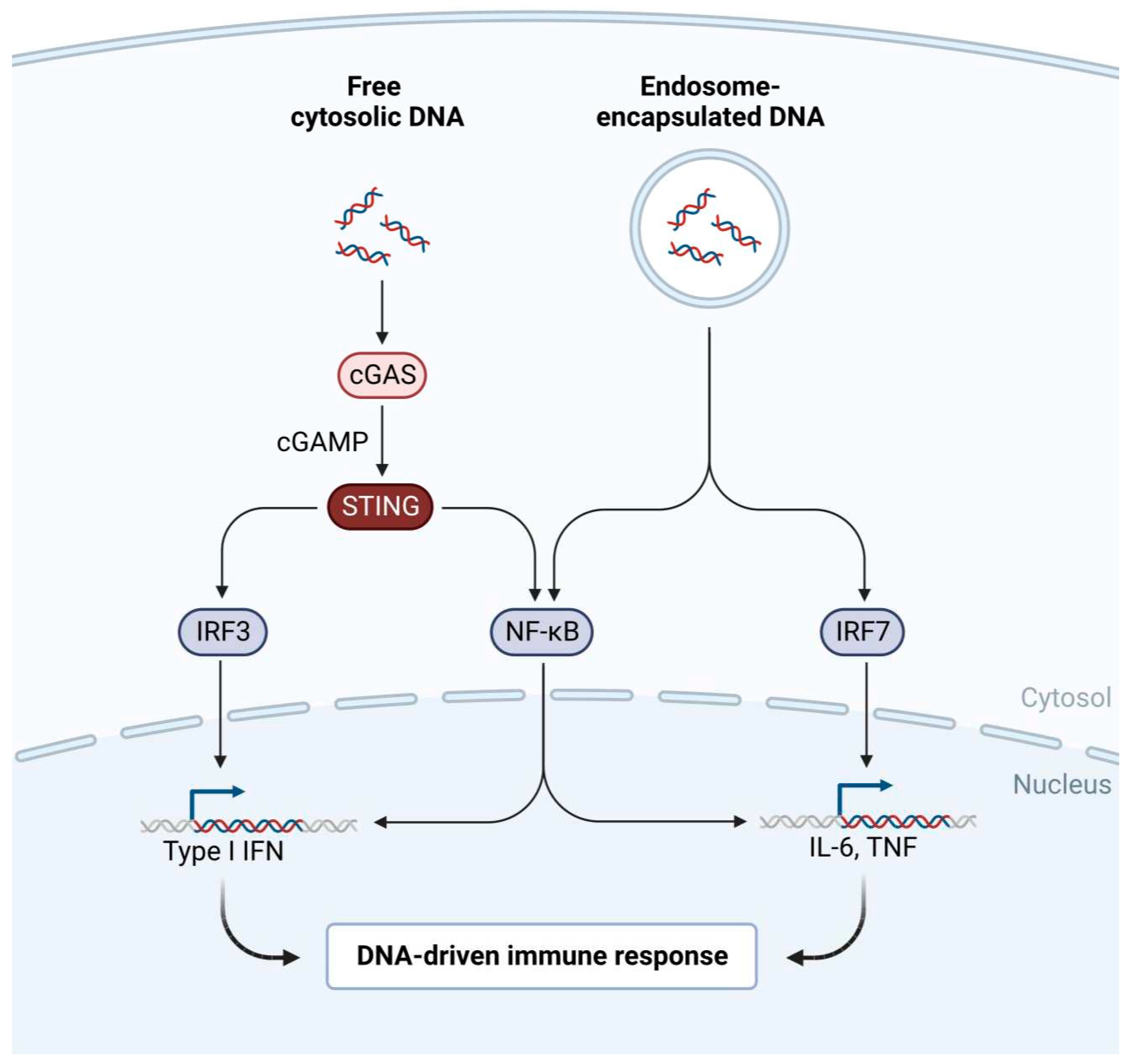 Preprints 68843 g001