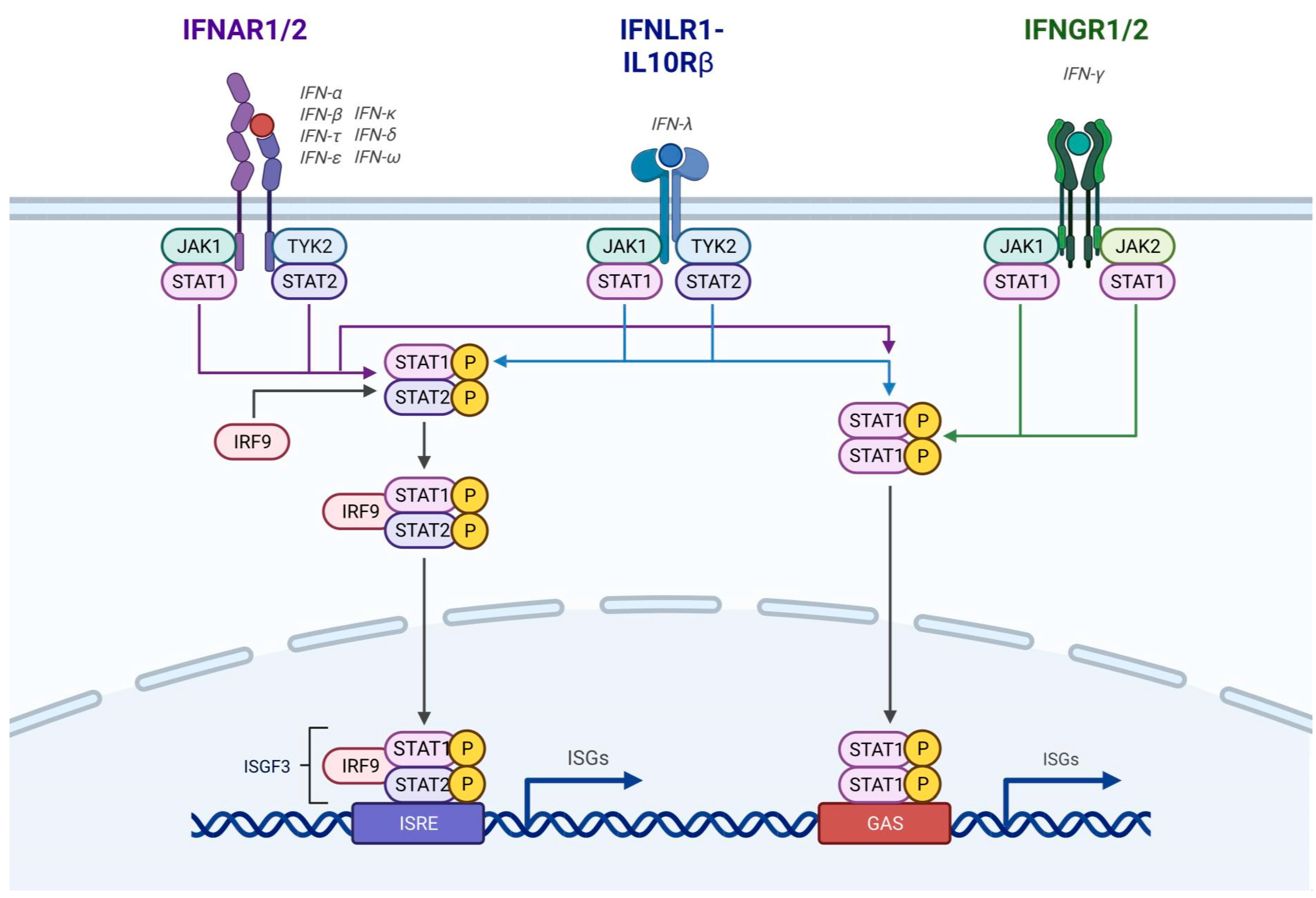 Preprints 68843 g002