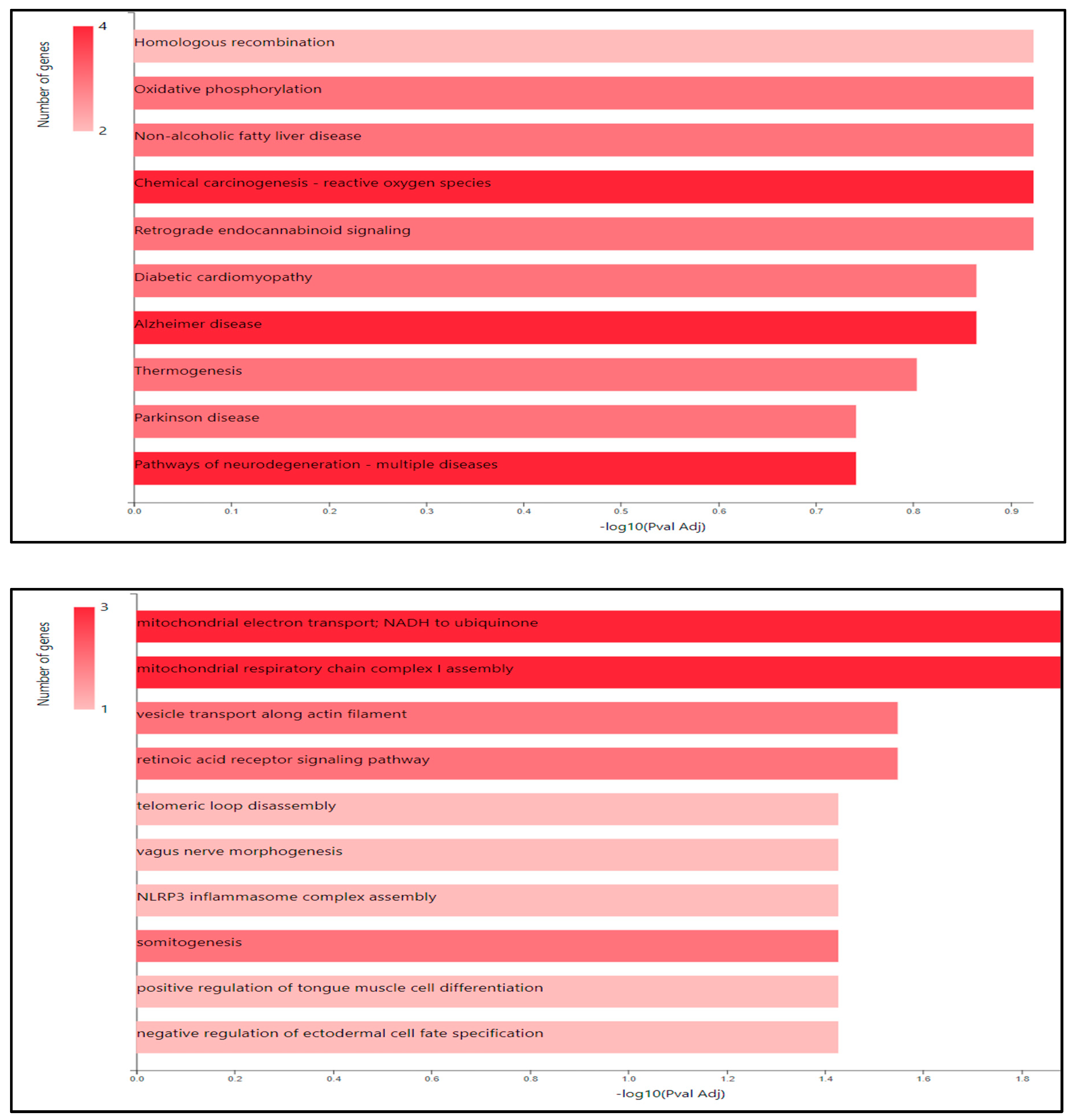 Preprints 107725 g001