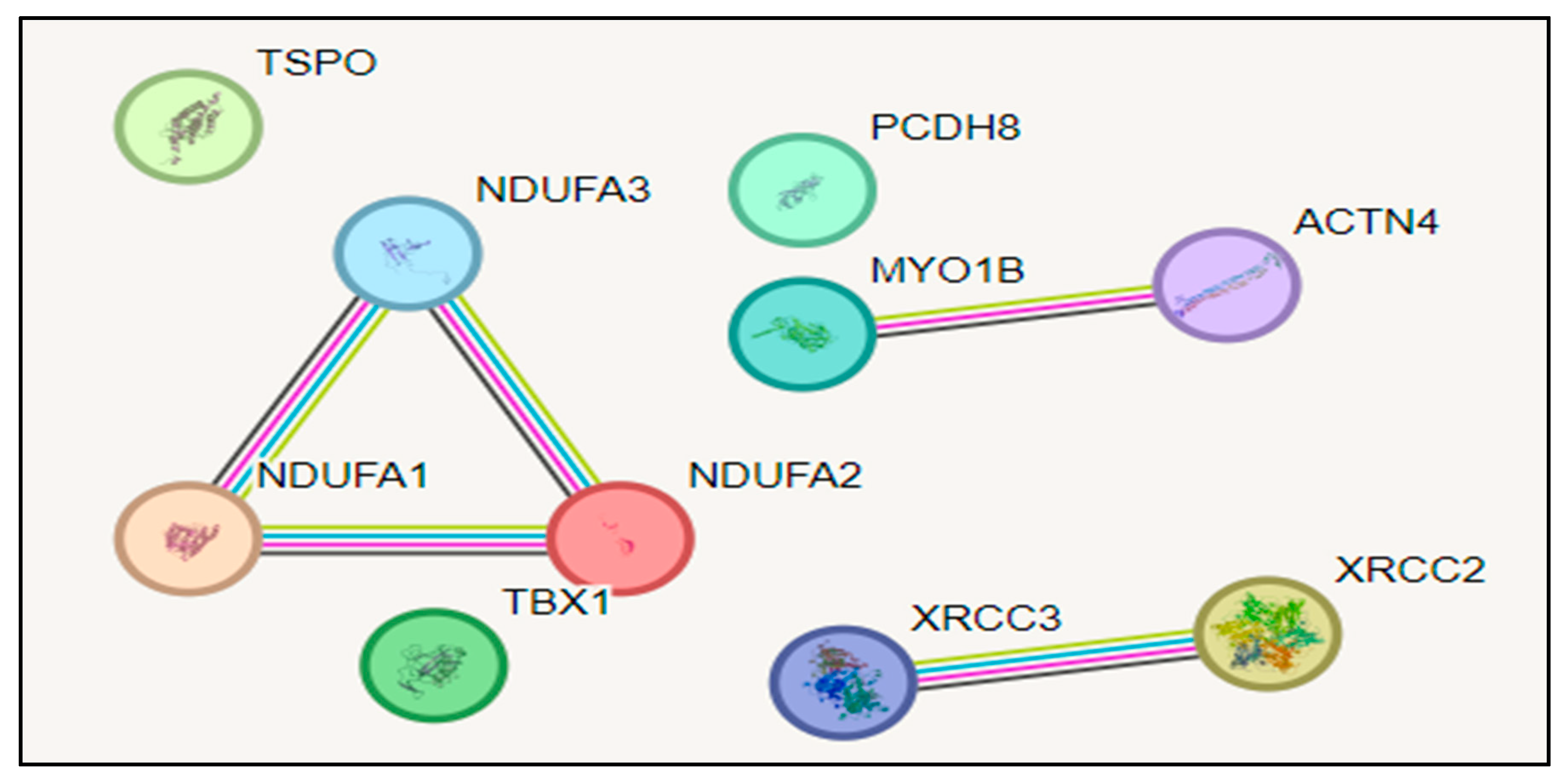 Preprints 107725 g002