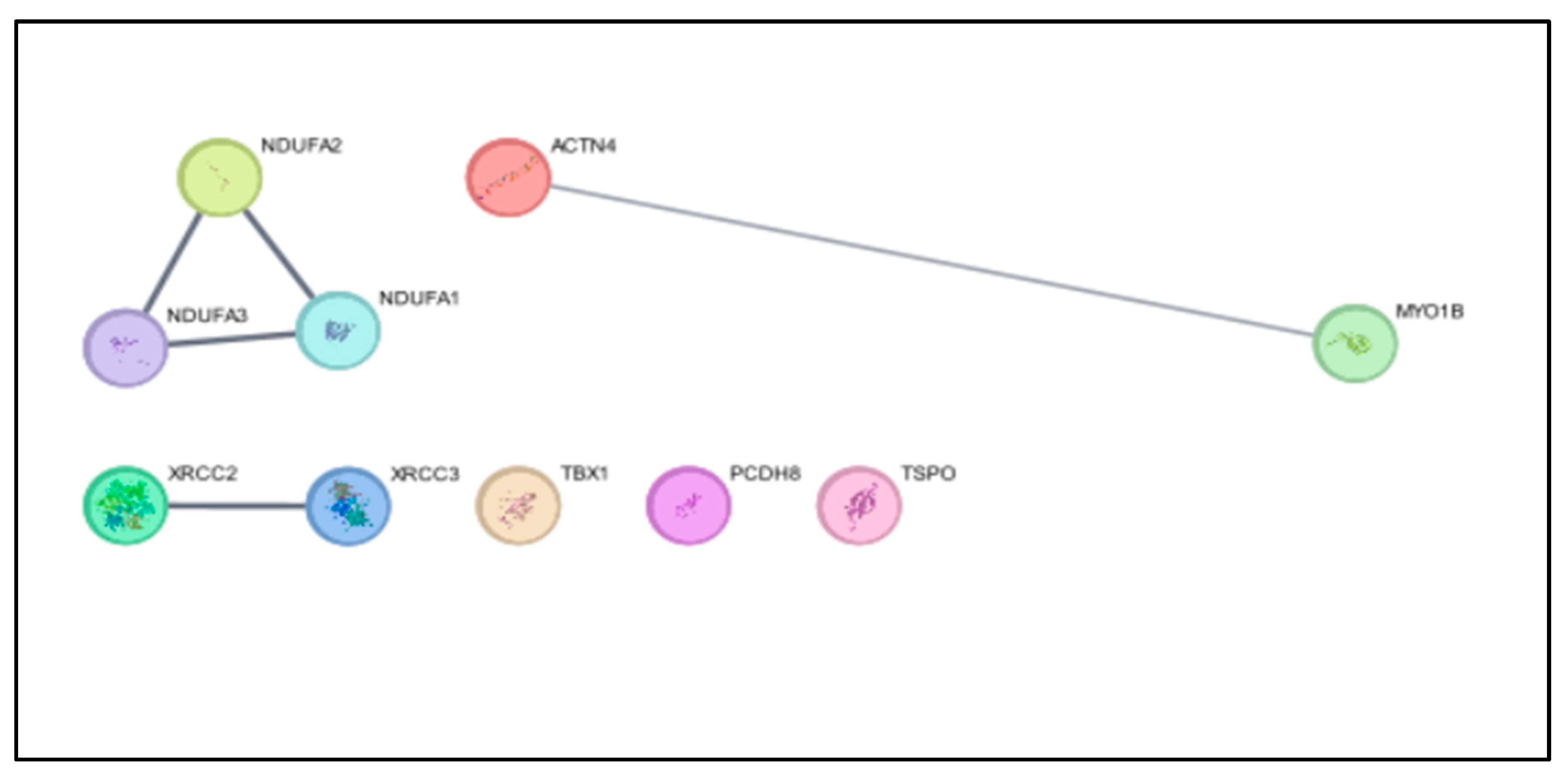 Preprints 107725 g003