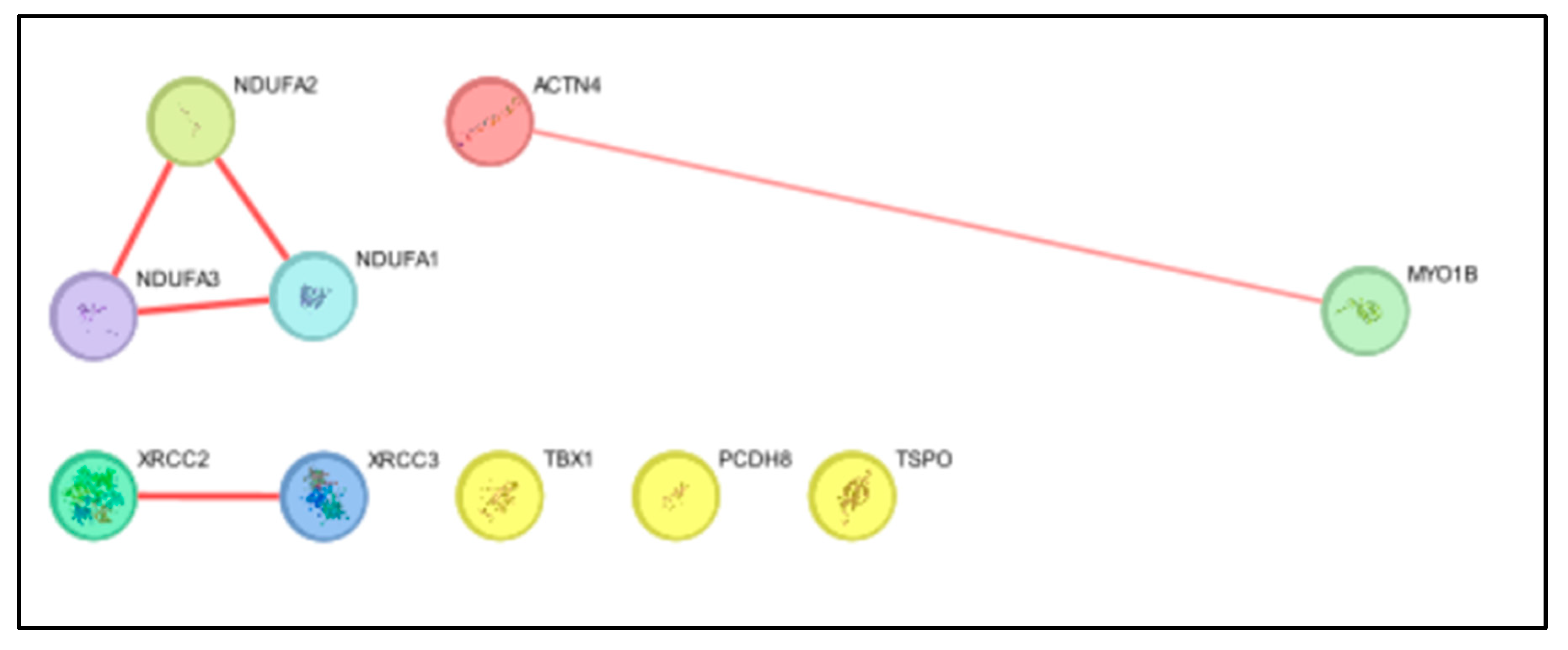 Preprints 107725 g004