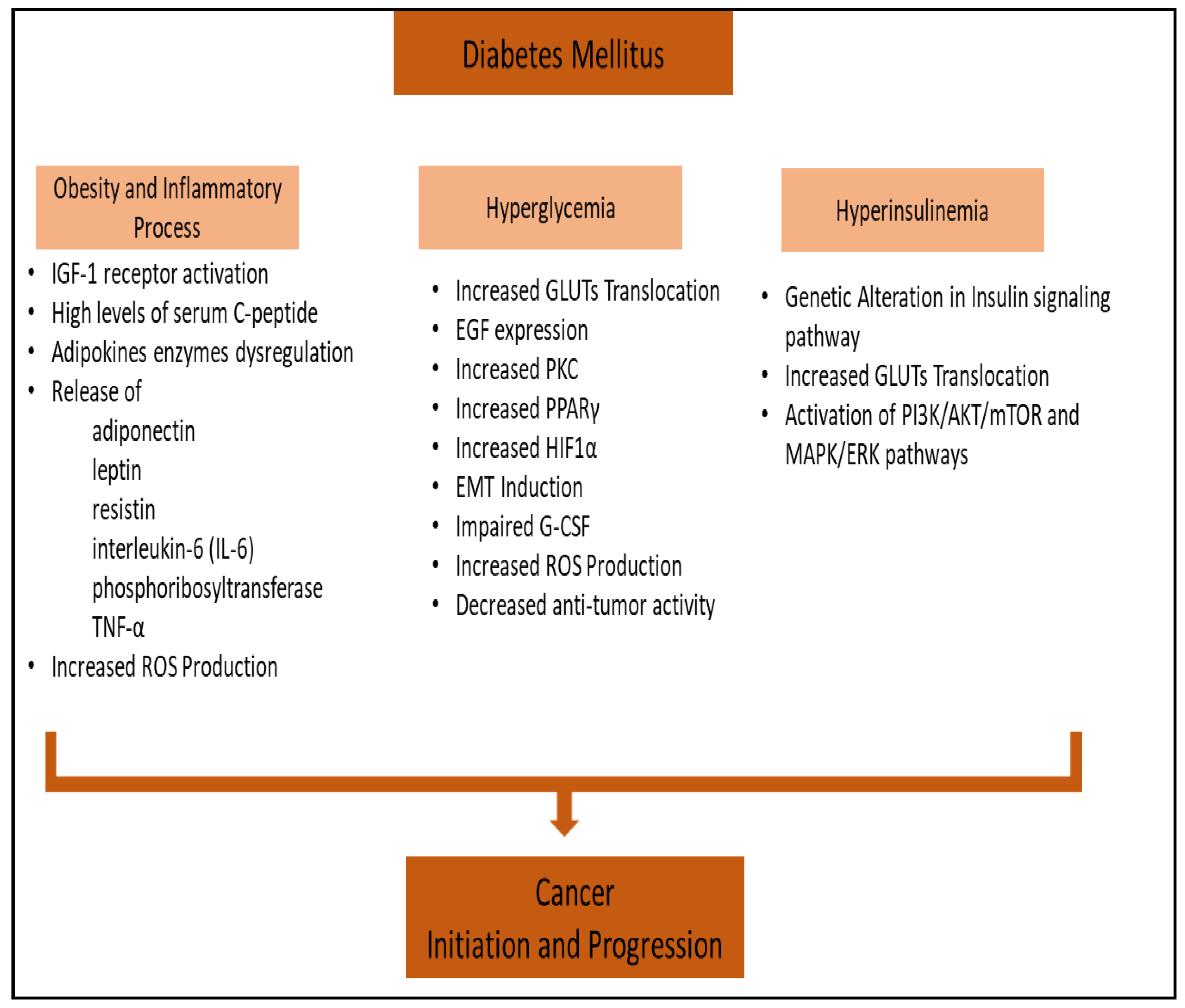 Preprints 116437 g001