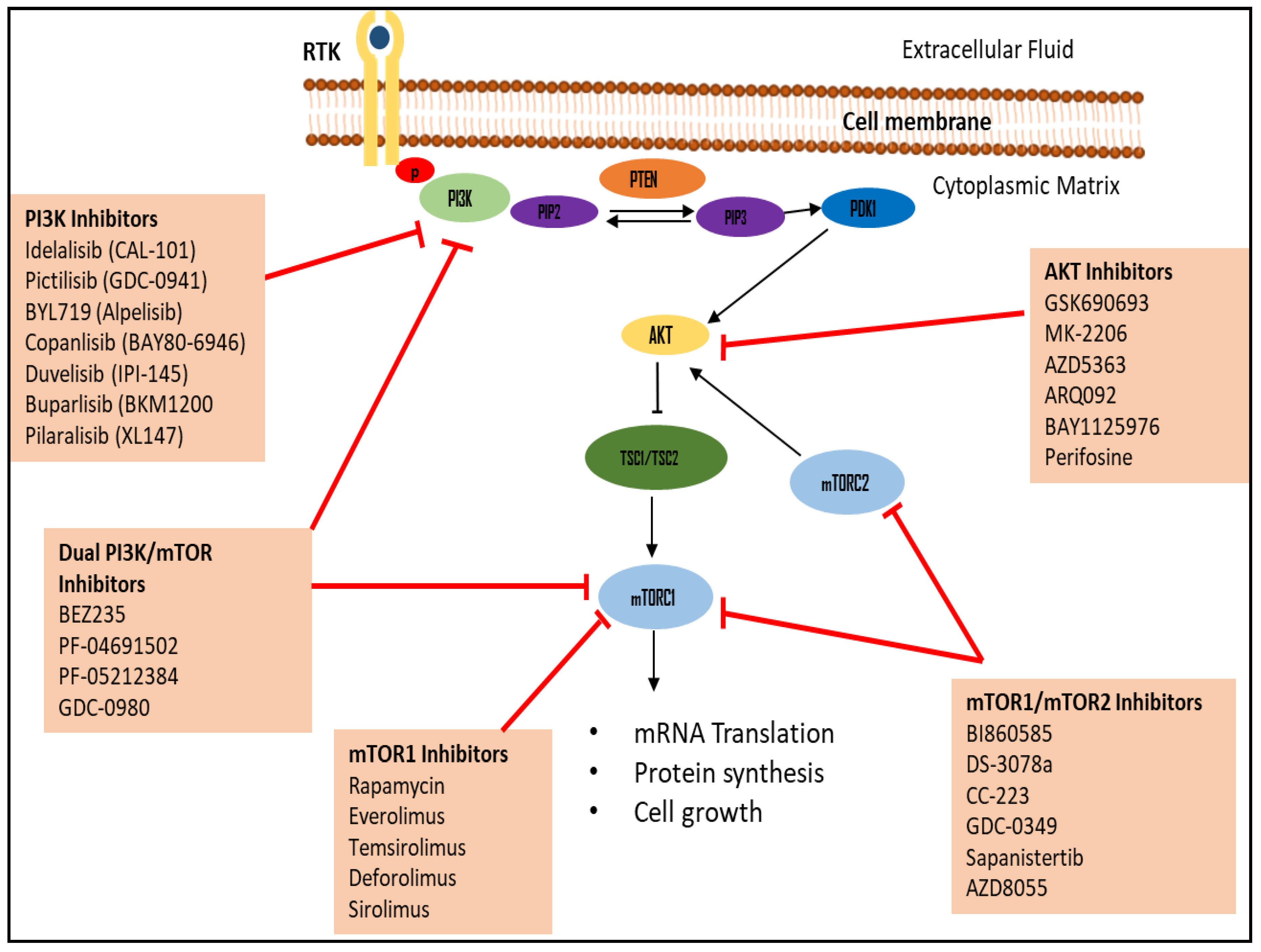 Preprints 116437 g002