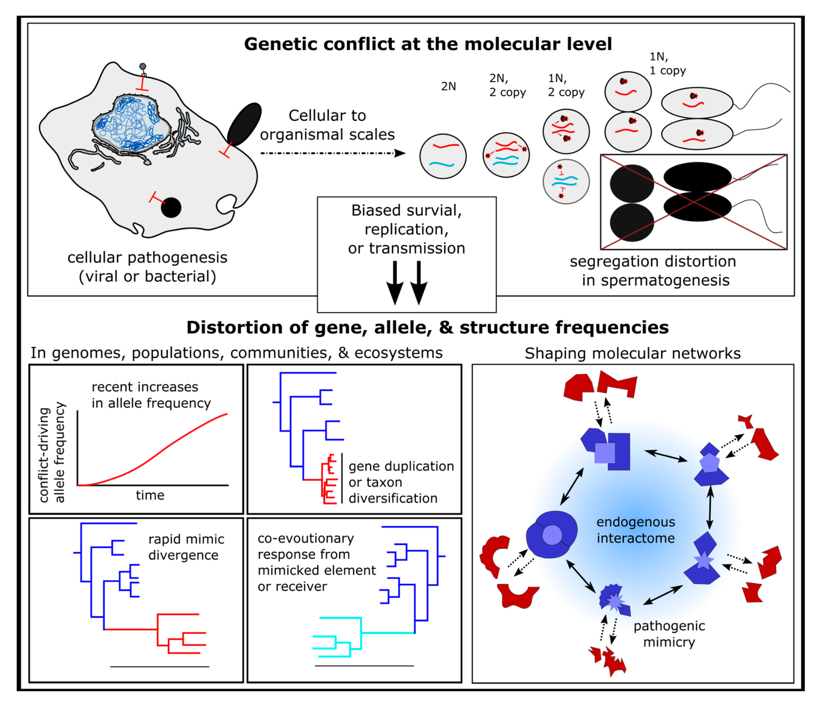 Preprints 102447 g005