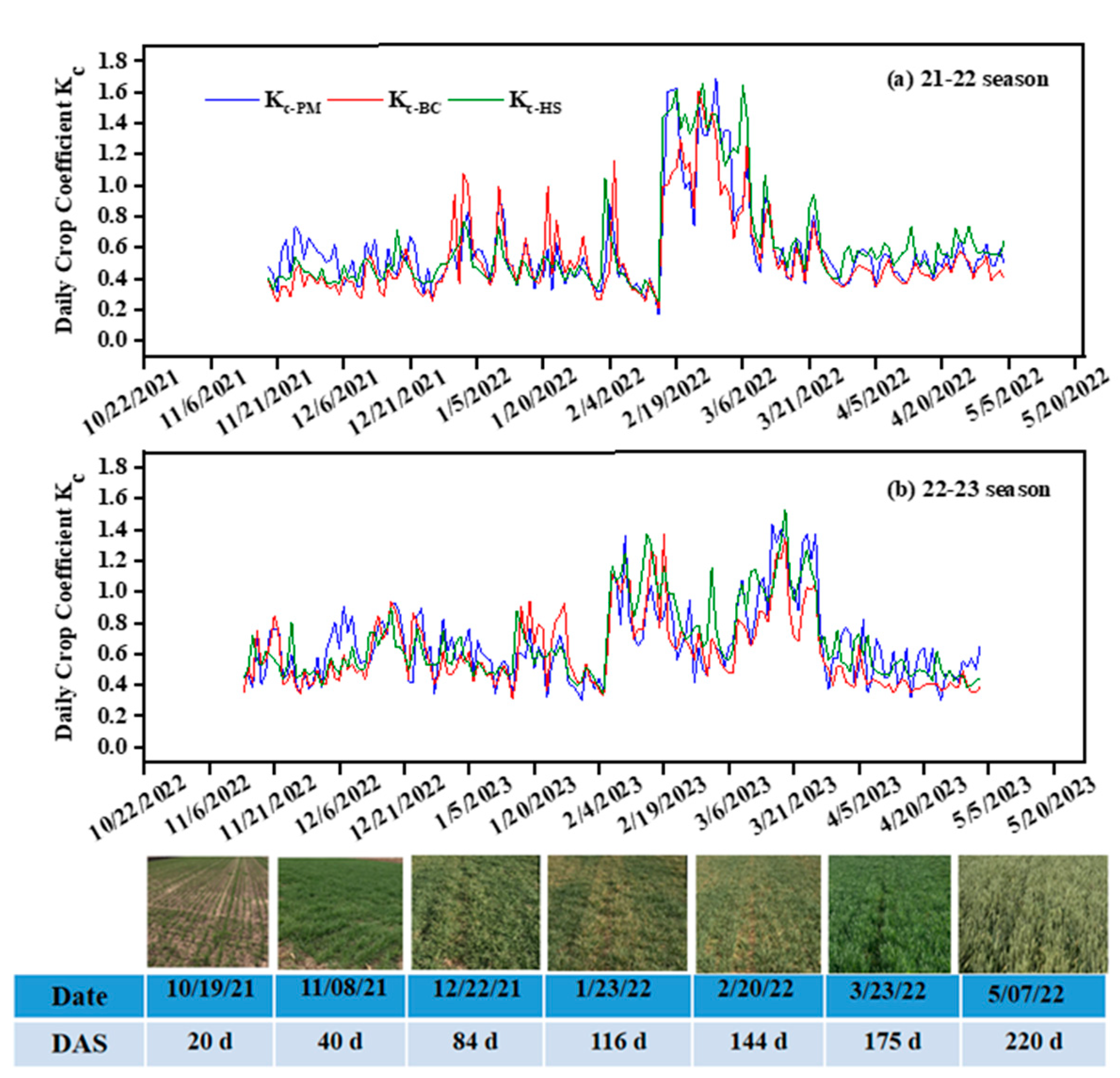 Preprints 111499 g006