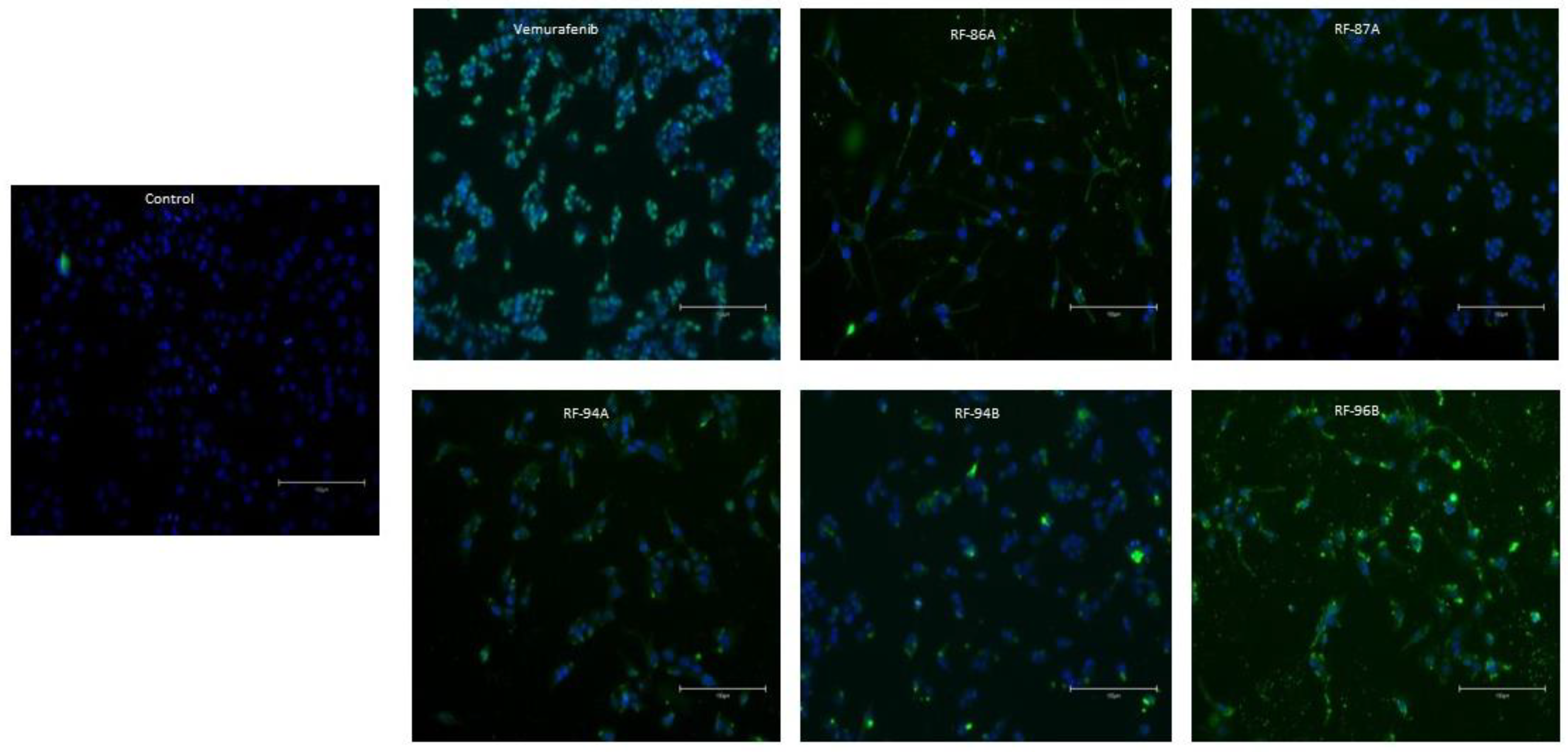 Preprints 104868 g002