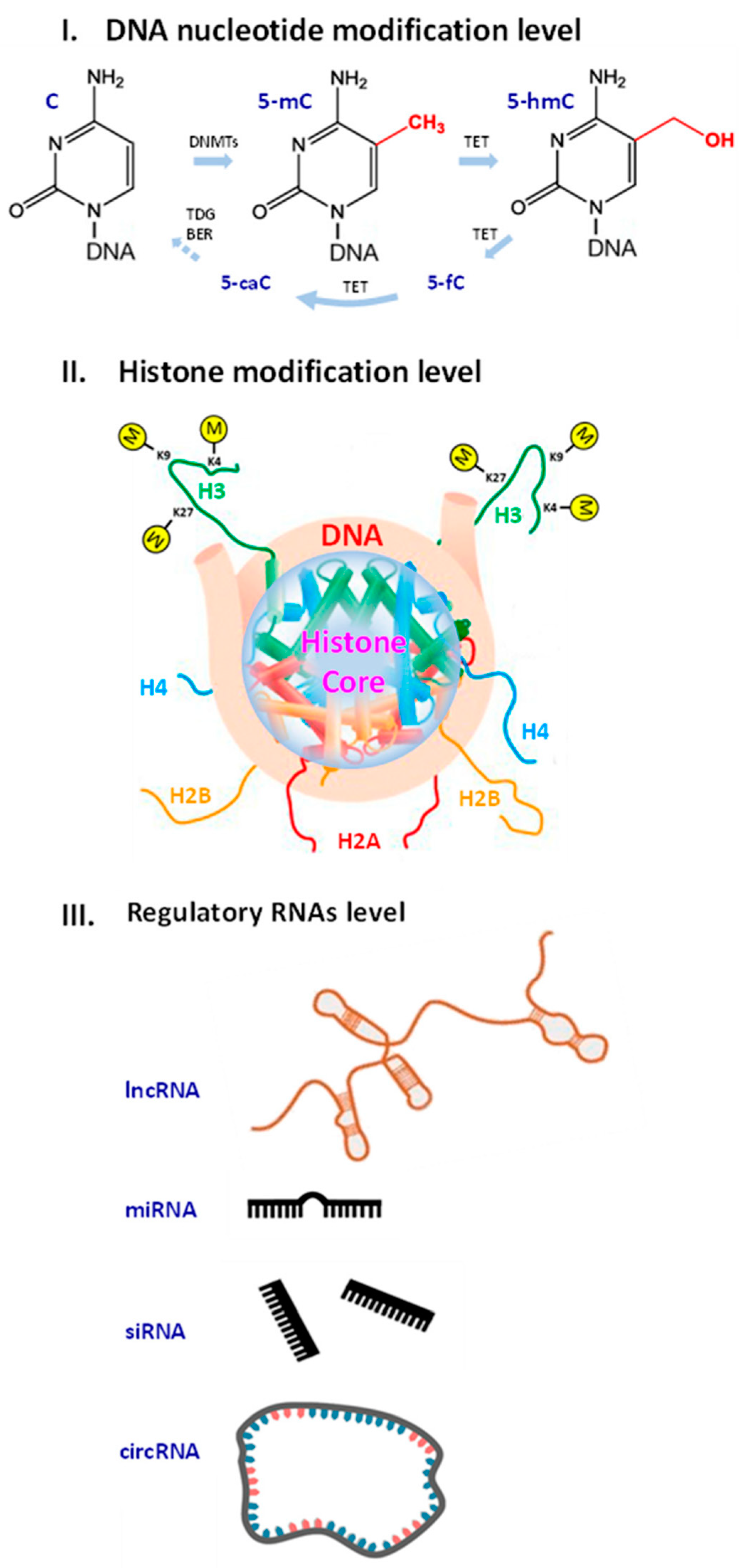 Preprints 87341 g001