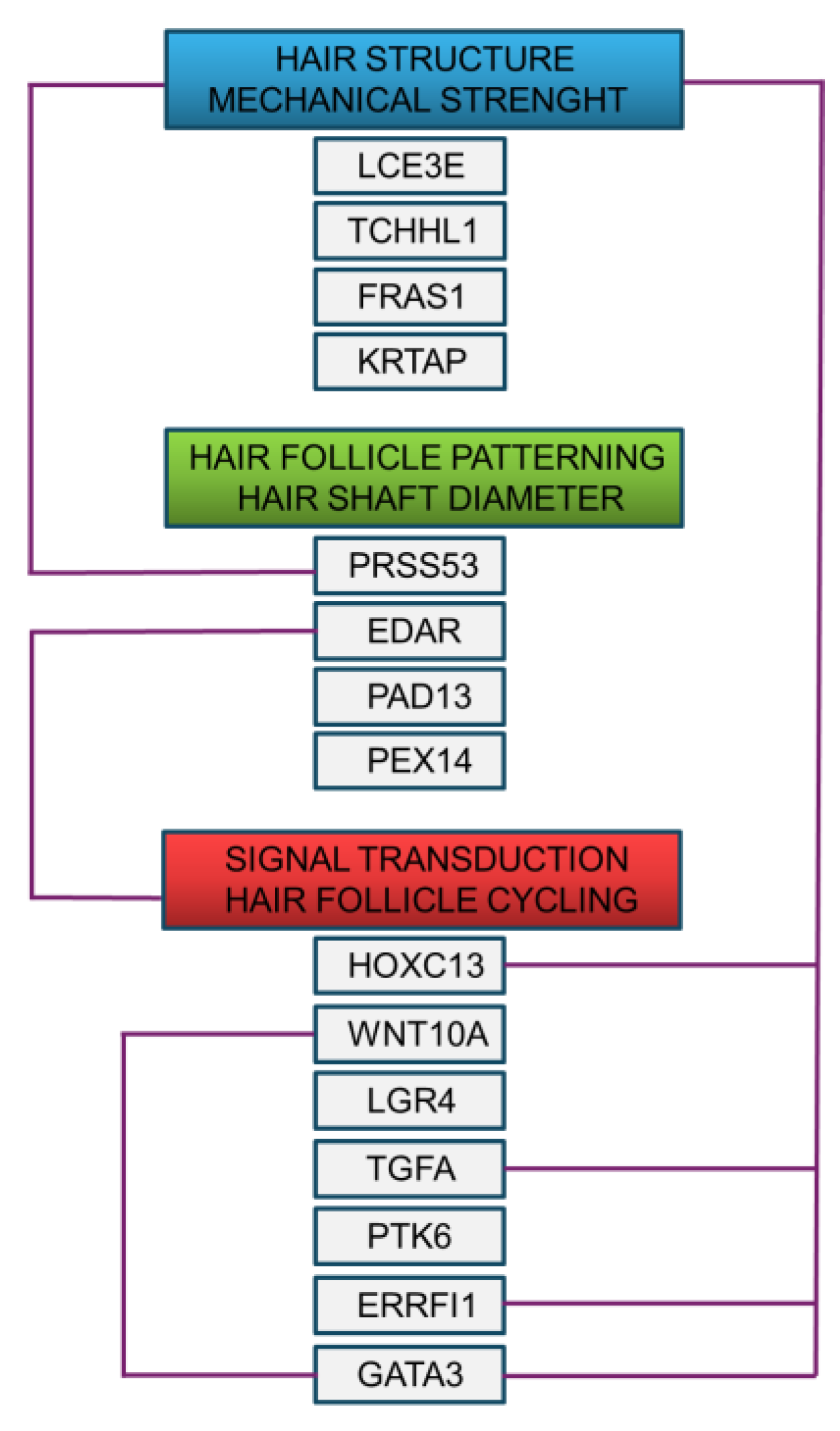 Preprints 112045 g002