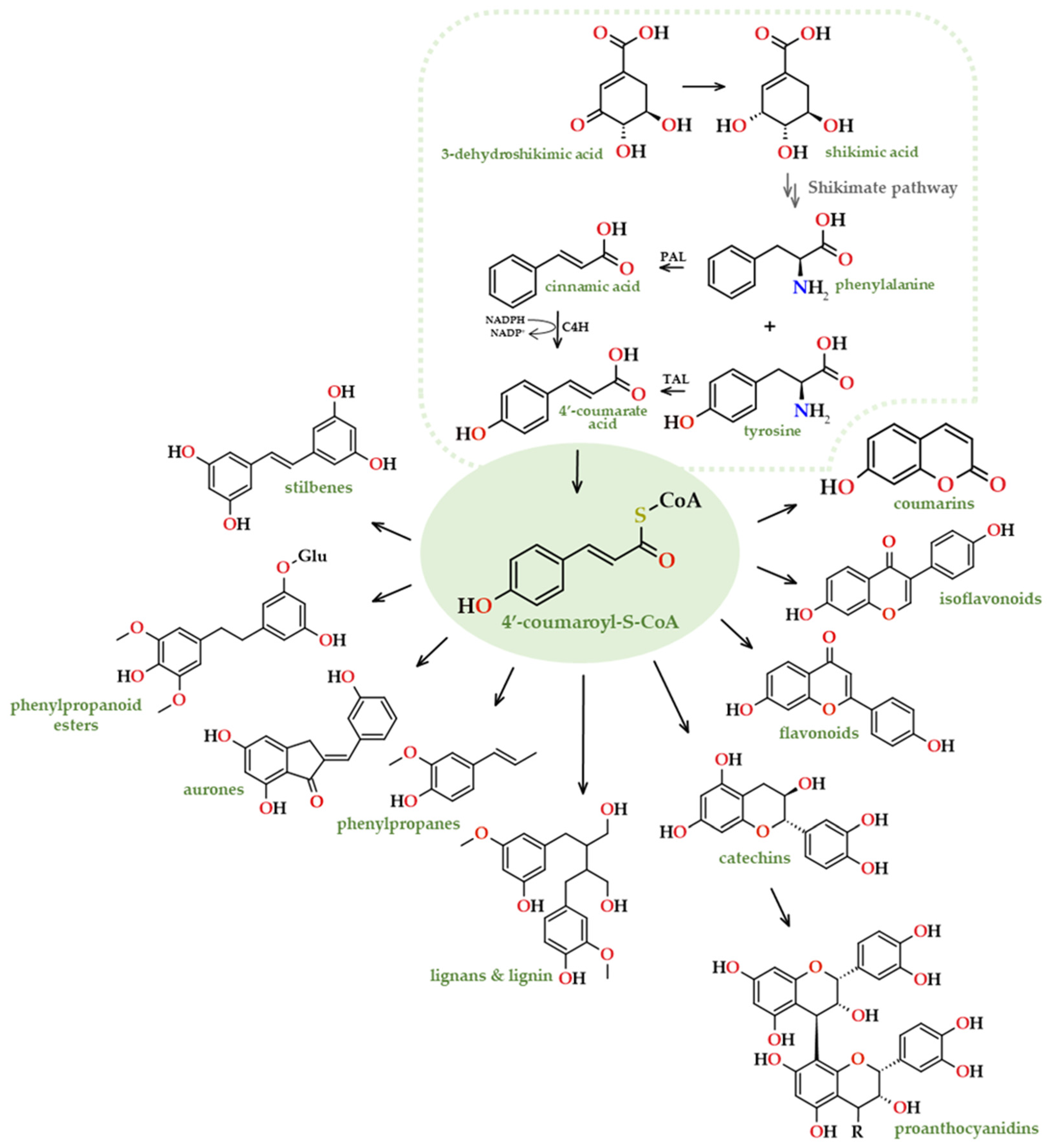 Preprints 95247 g010