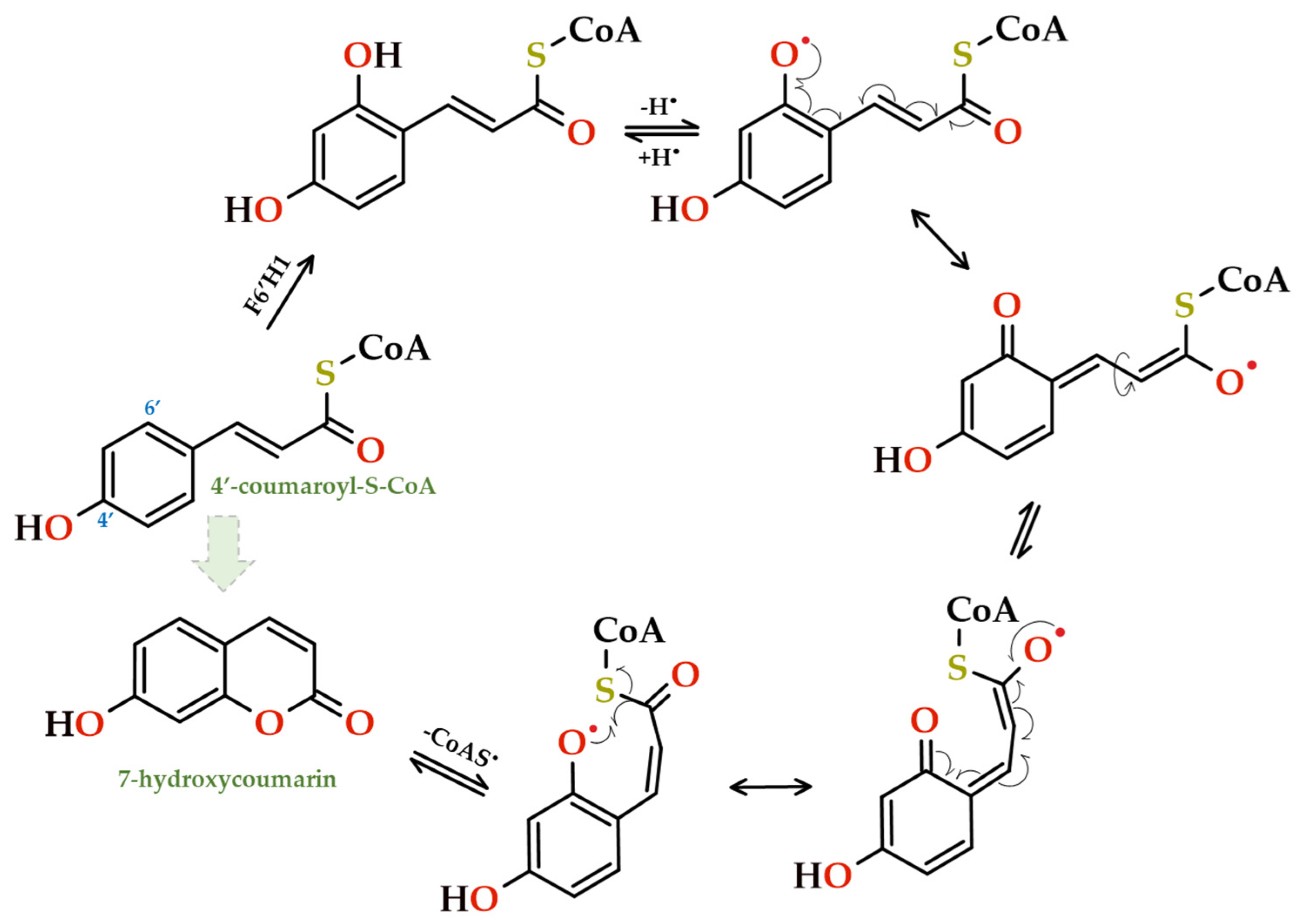 Preprints 95247 g011