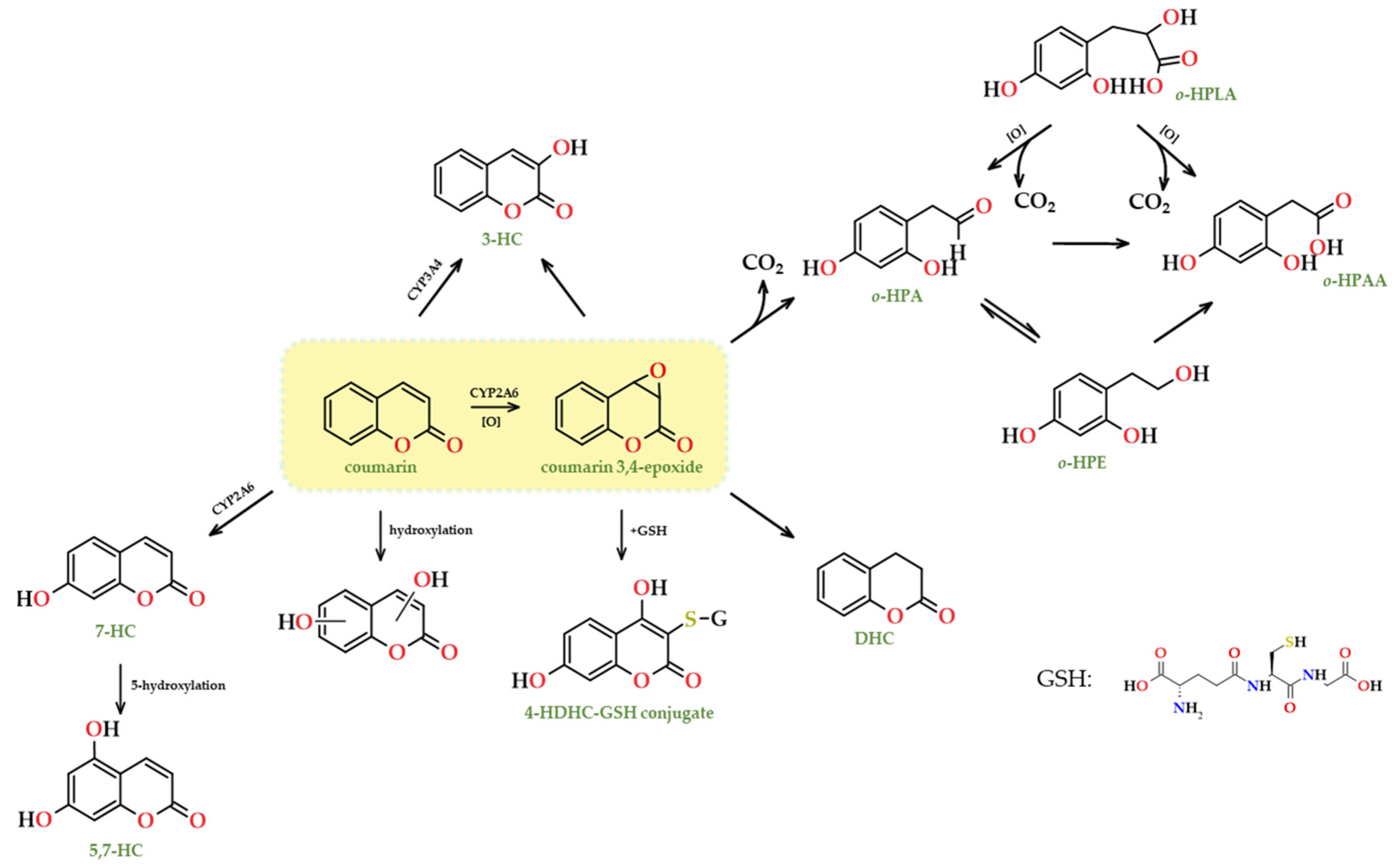 Preprints 95247 g015