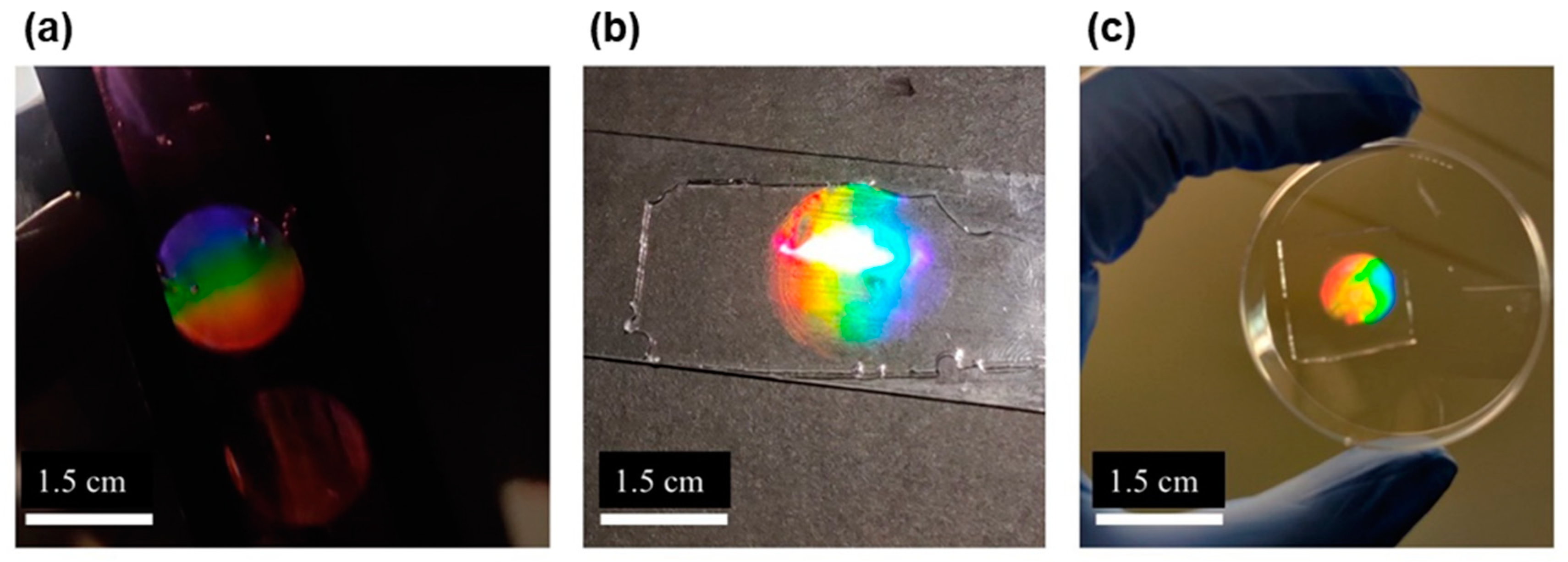 Preprints 80851 g004