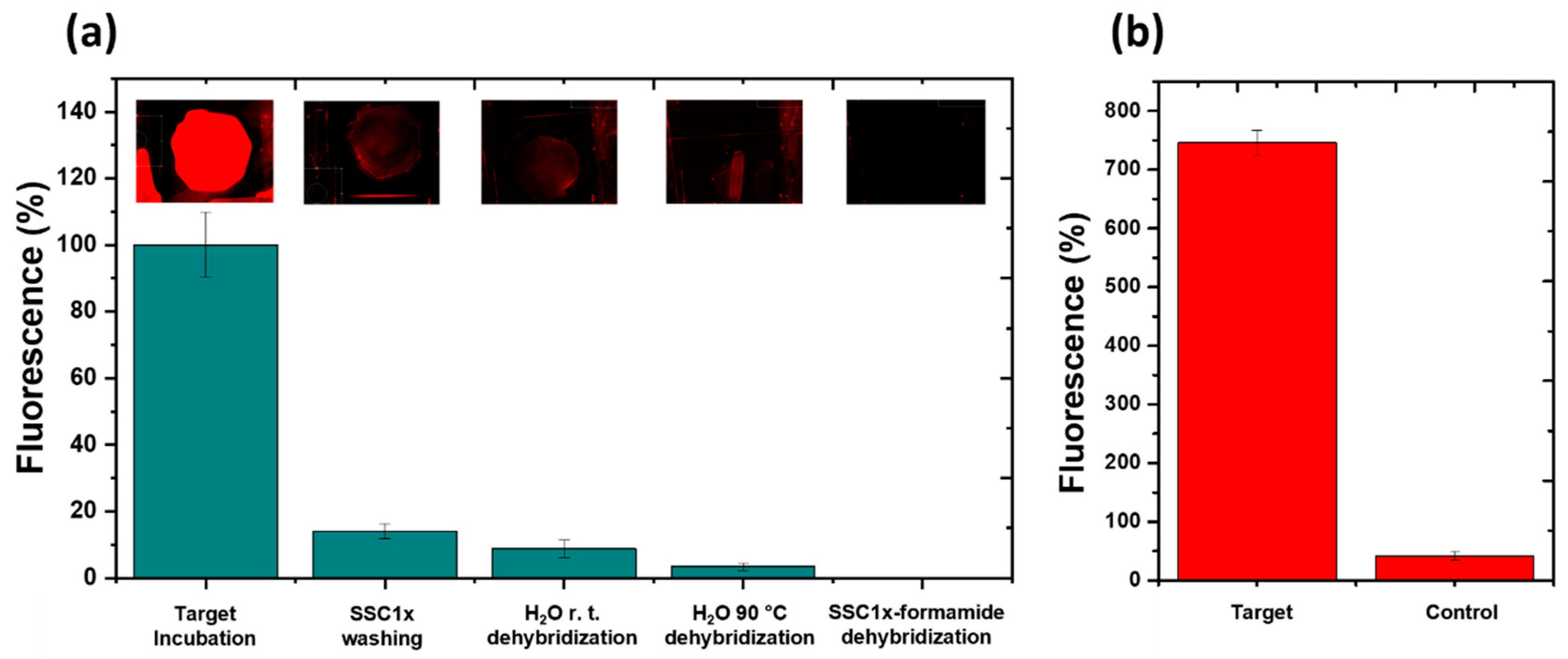 Preprints 80851 g009