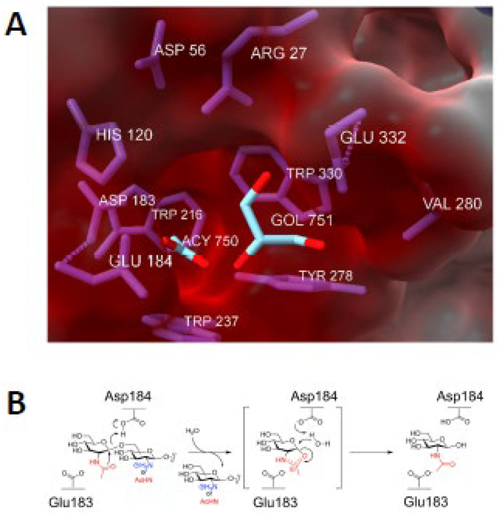 Preprints 113009 g004