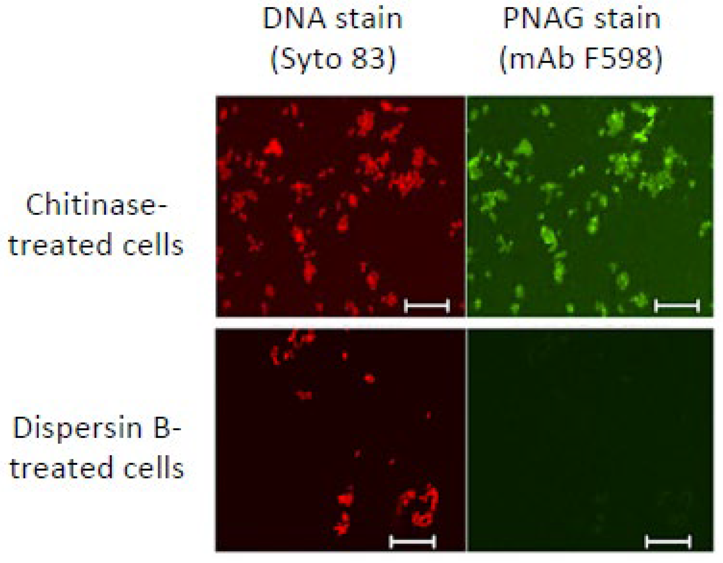 Preprints 113009 g005