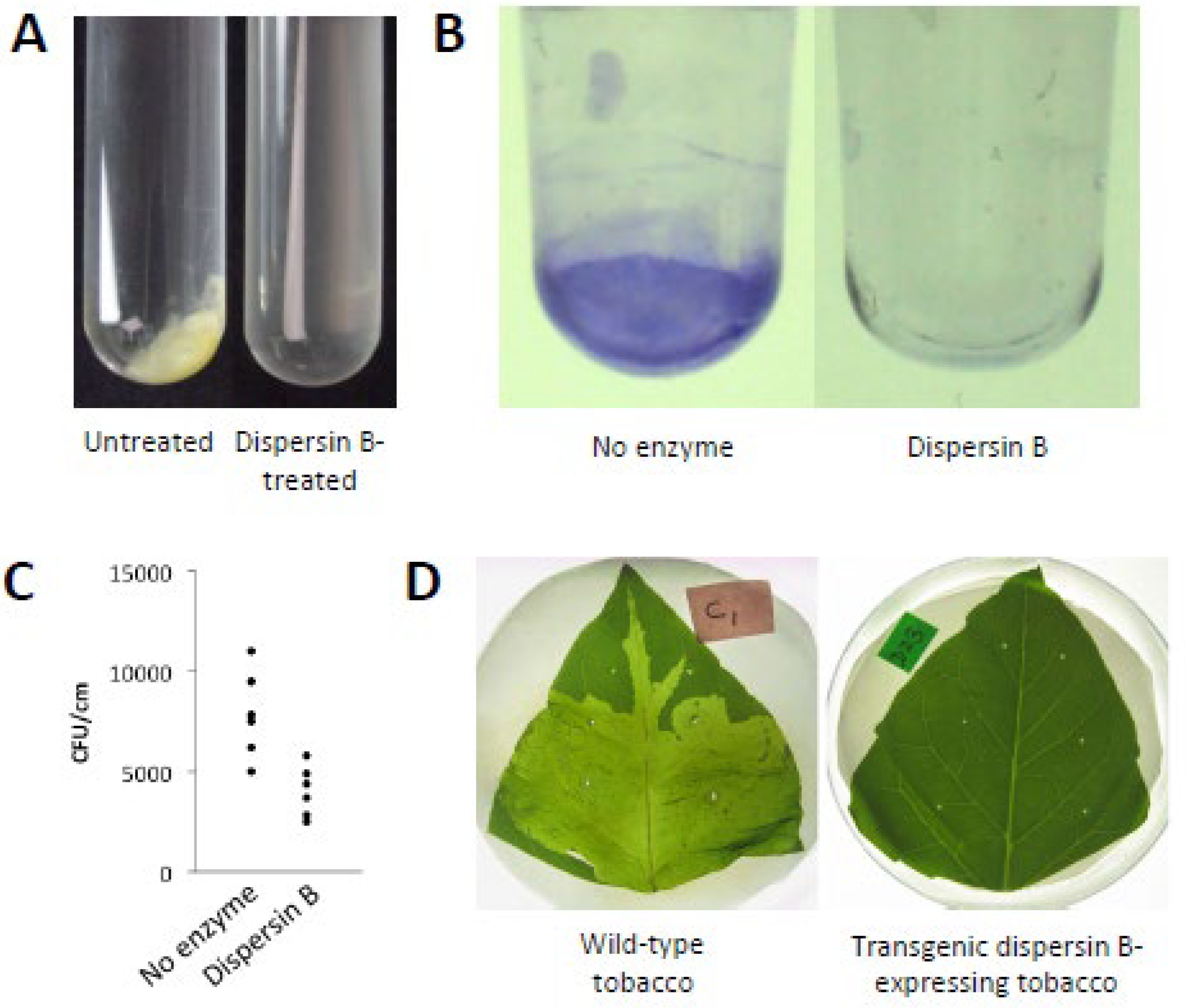 Preprints 113009 g006