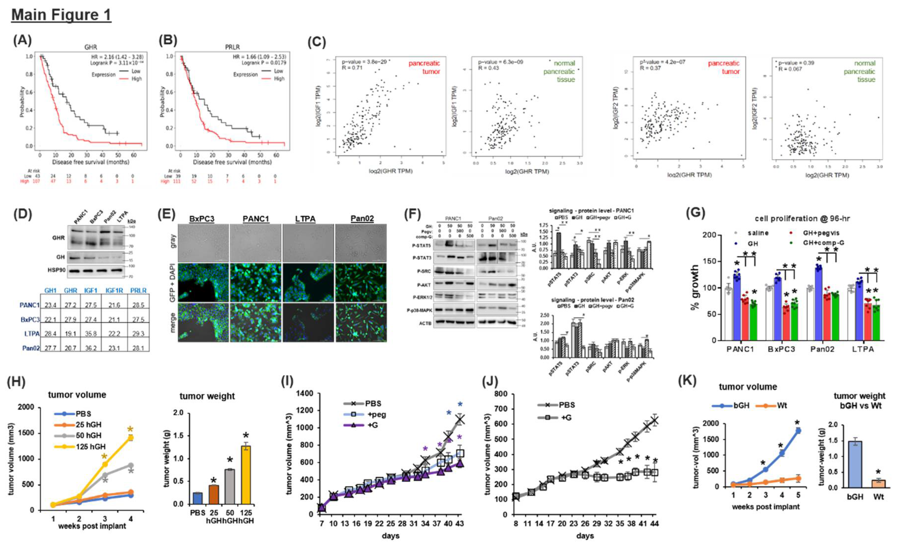 Preprints 106321 g001