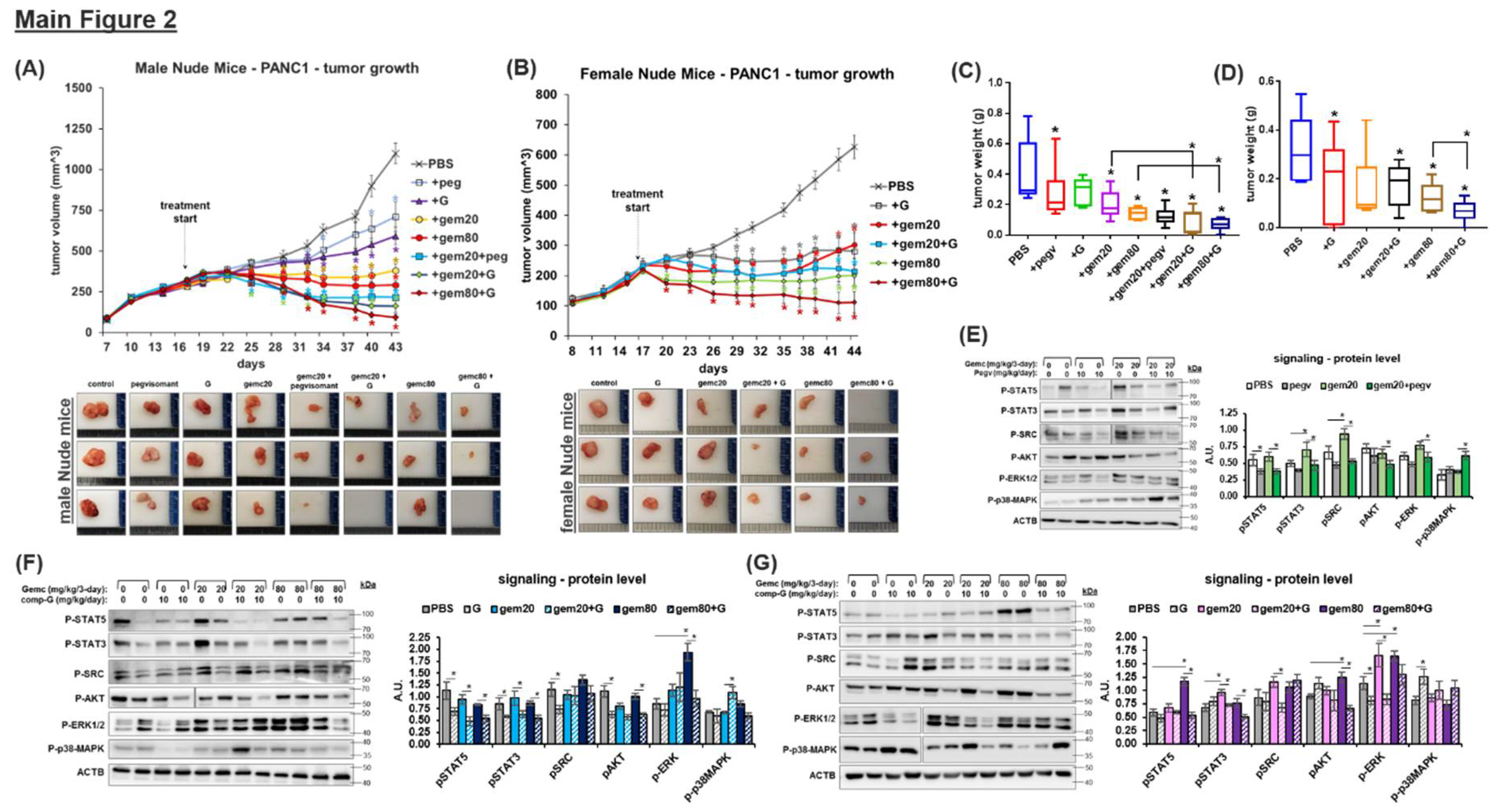 Preprints 106321 g002