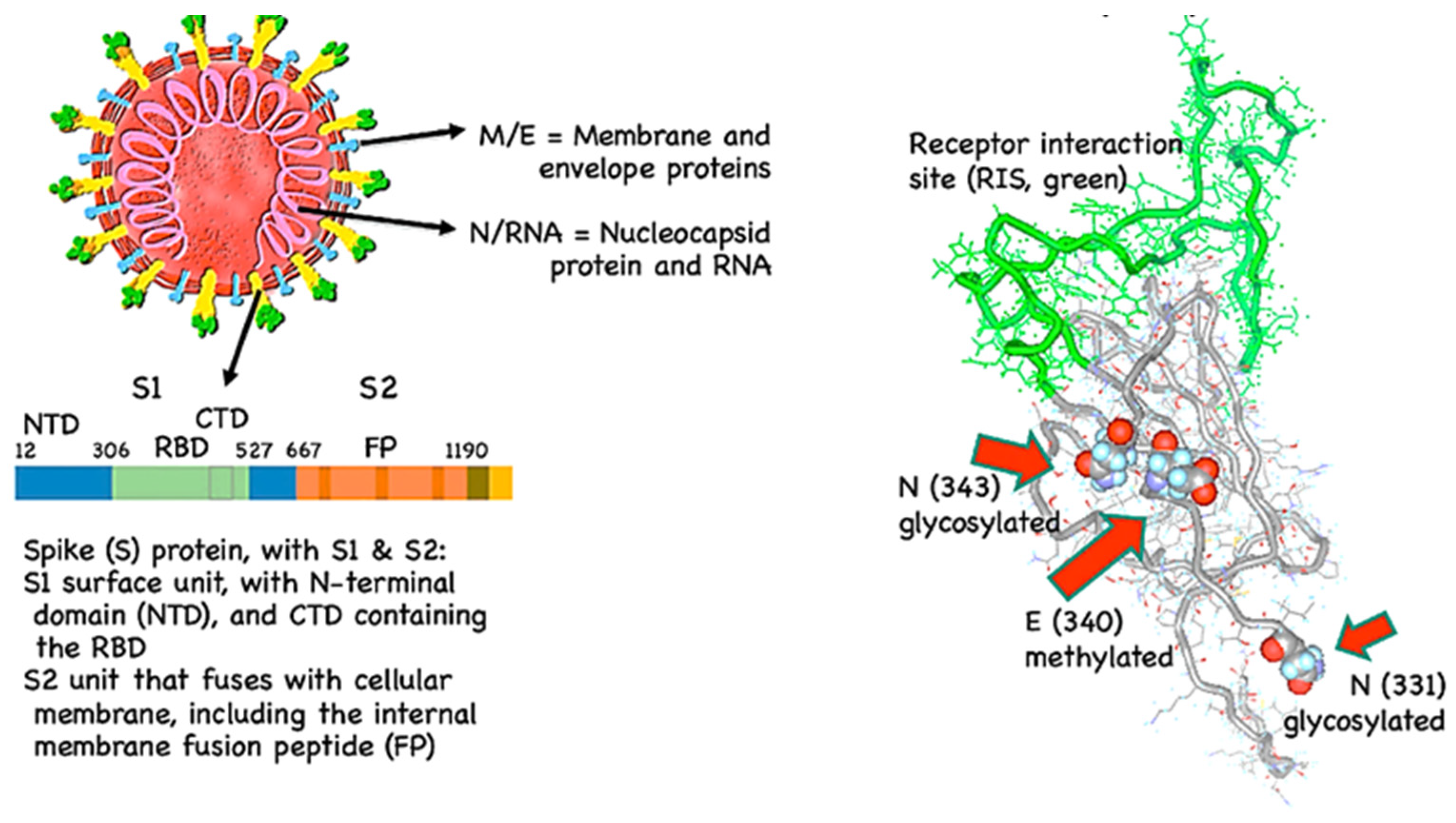 Preprints 73852 g003