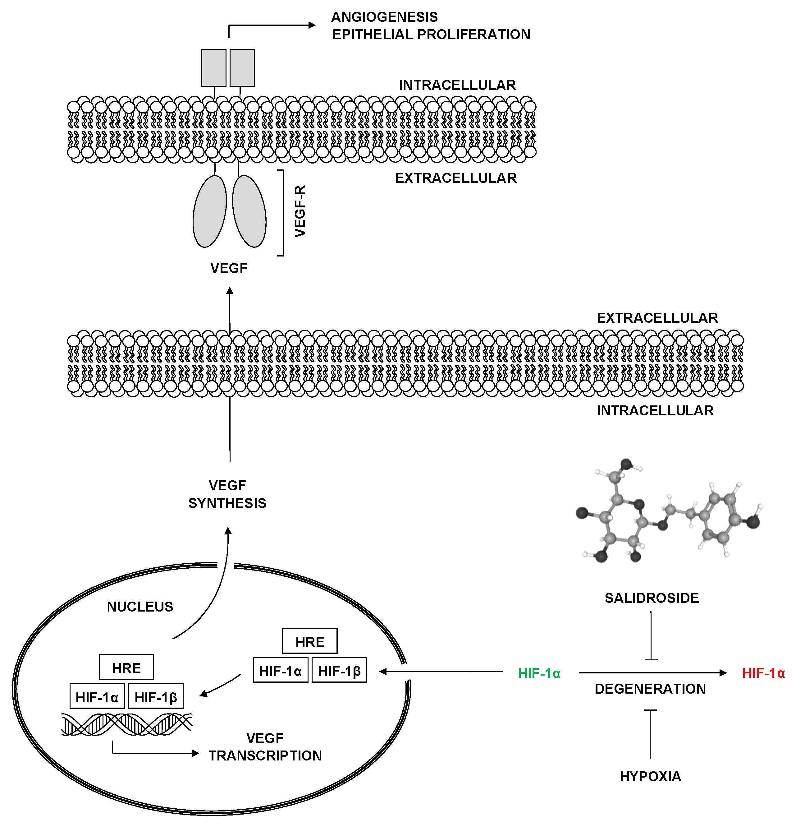 Preprints 110979 g002