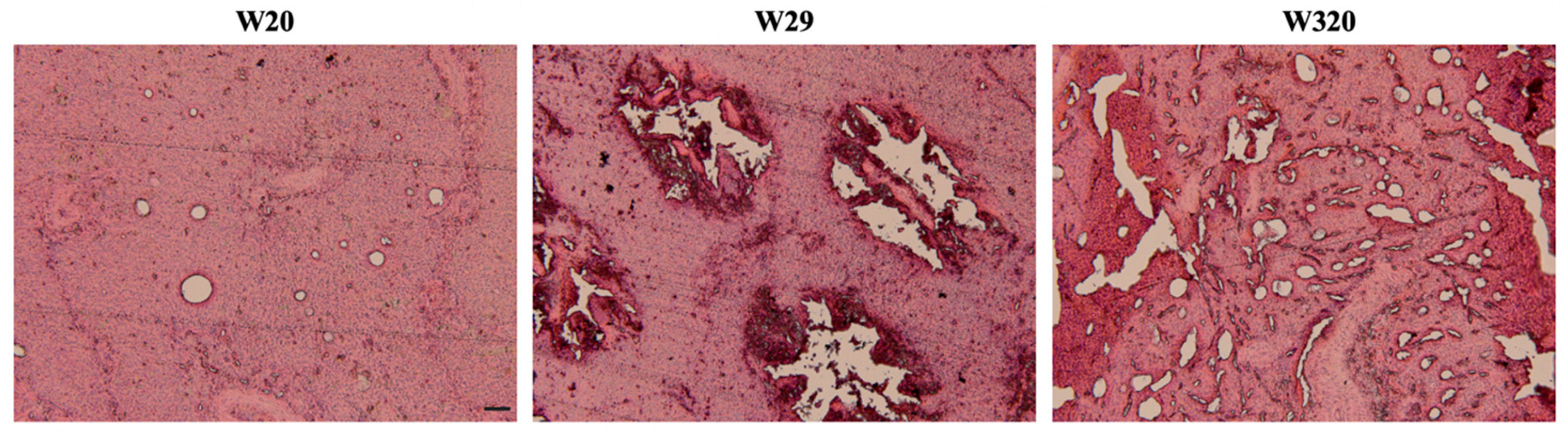 Preprints 80995 g004