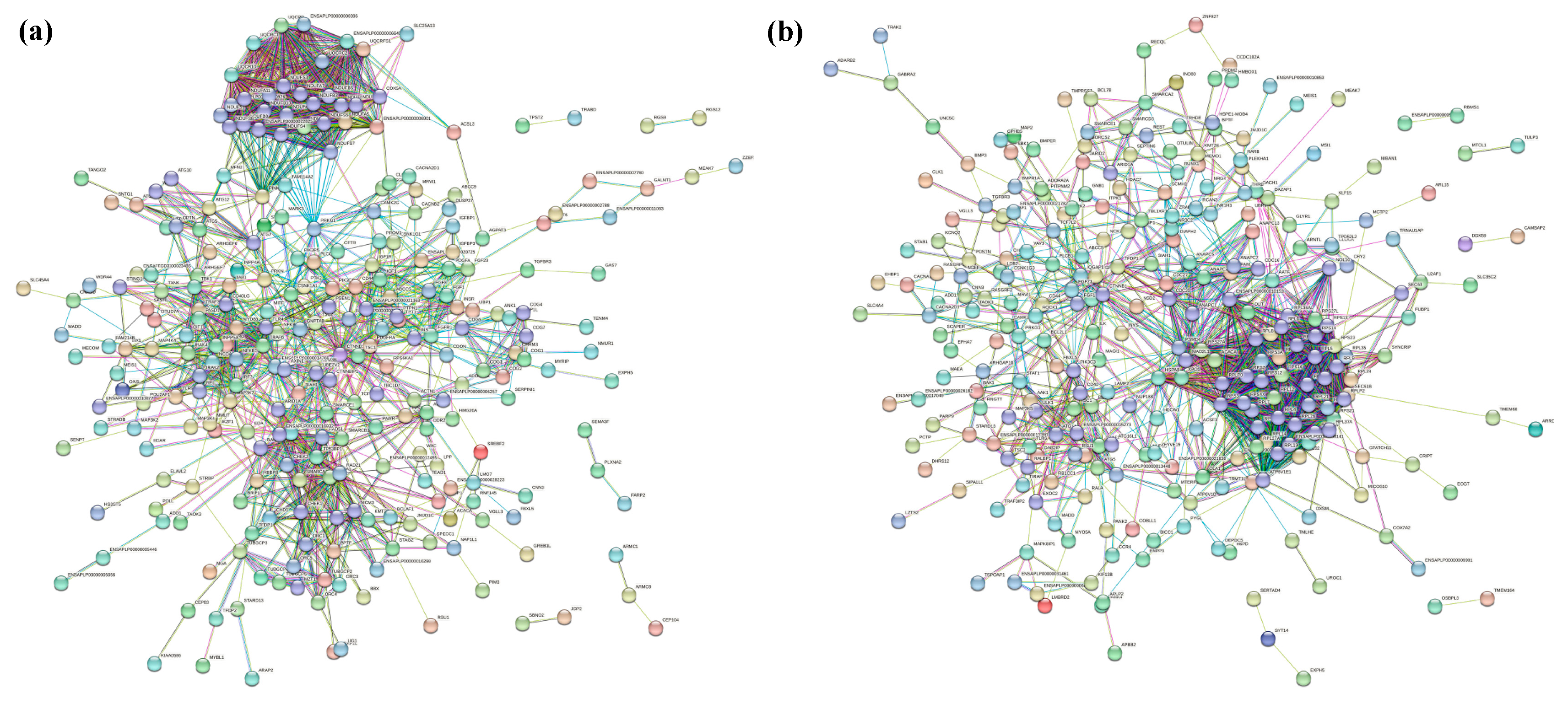 Preprints 80995 g007