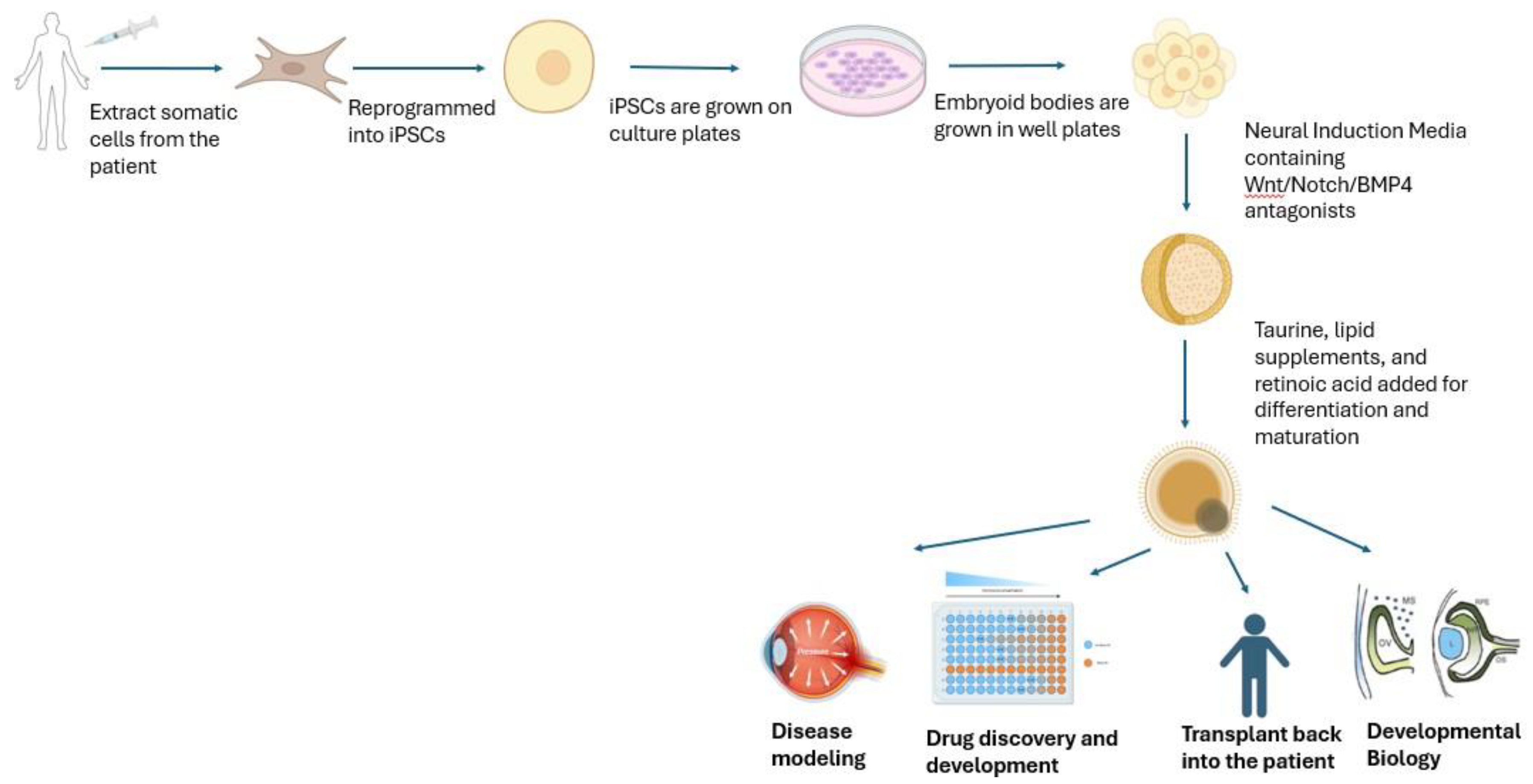 Preprints 120792 g001