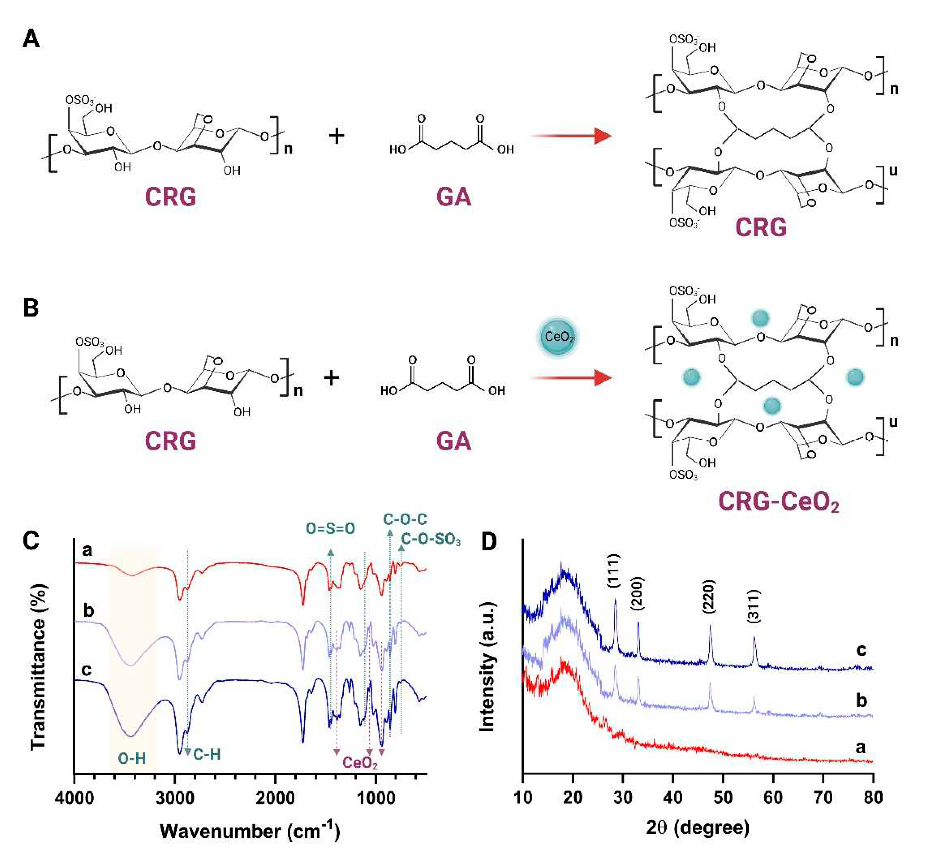 Preprints 81013 g003