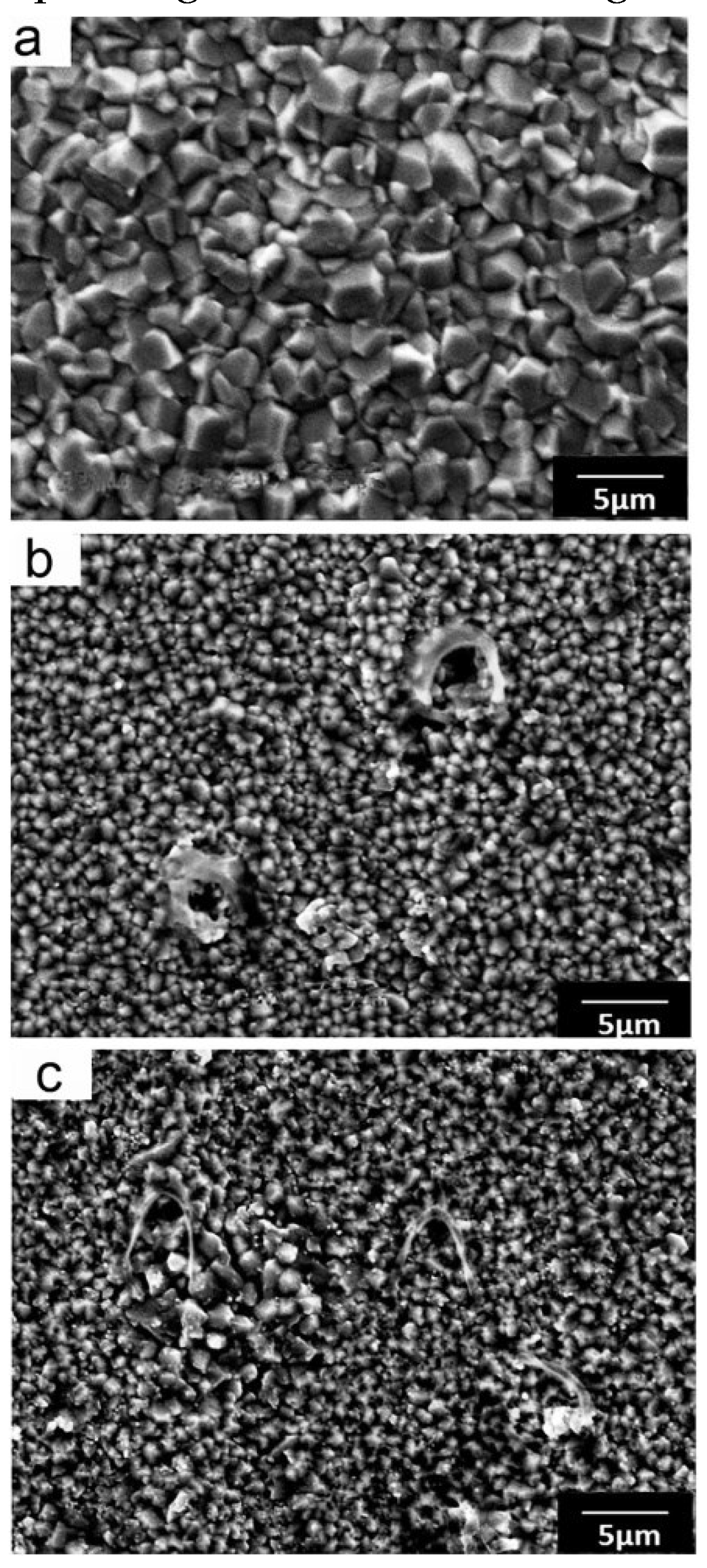 Preprints 99857 g005