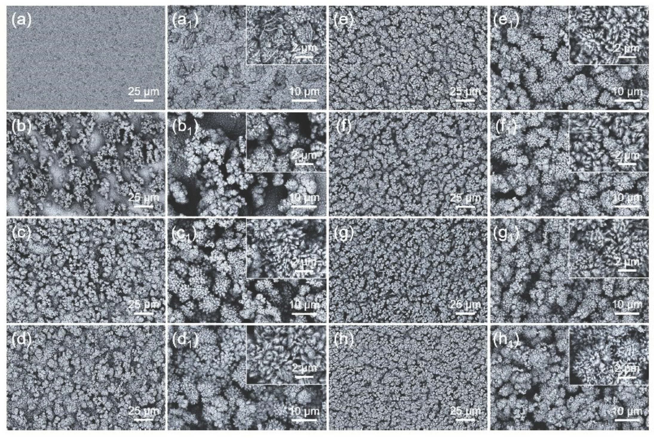 Preprints 99857 g011