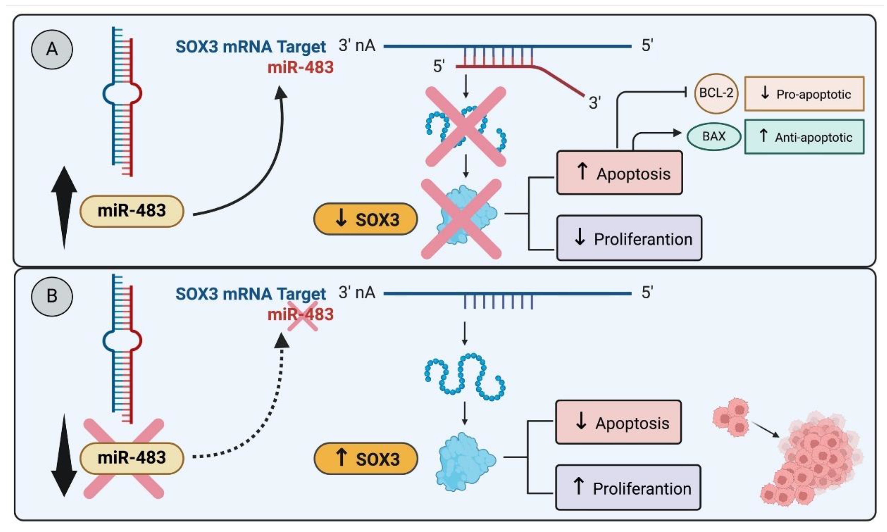 Preprints 104111 g001